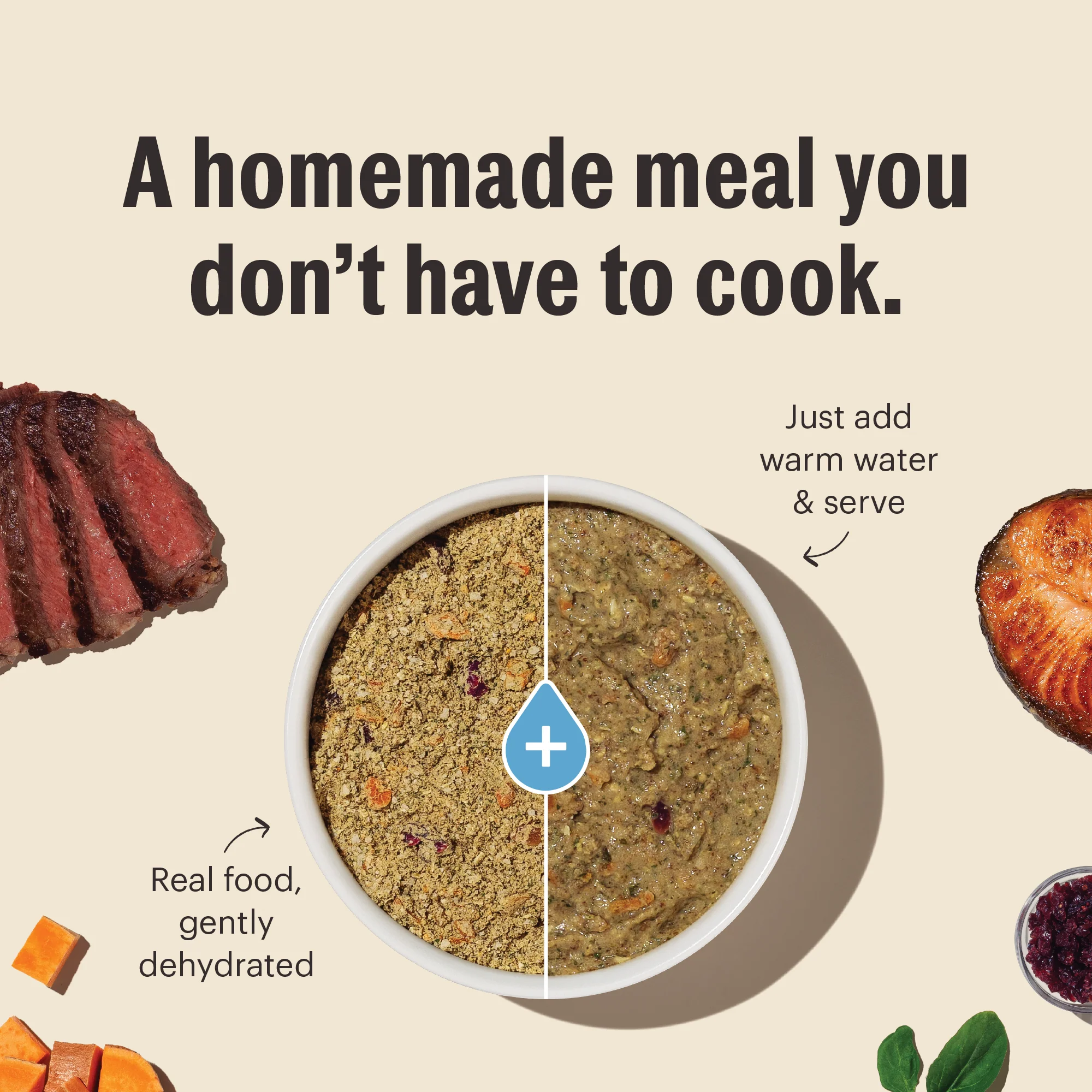 Wholemade™ Whole Grain Beef & Oat Dog Food - Image 4