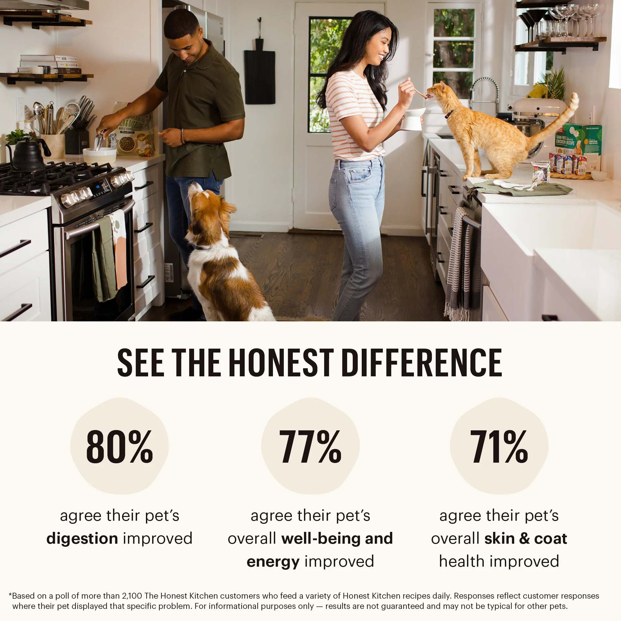 Wholemade™ Whole Grain Turkey Dog Food - Image 7