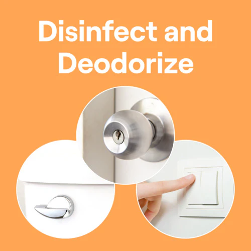 Disinfectant Spray - Image 14