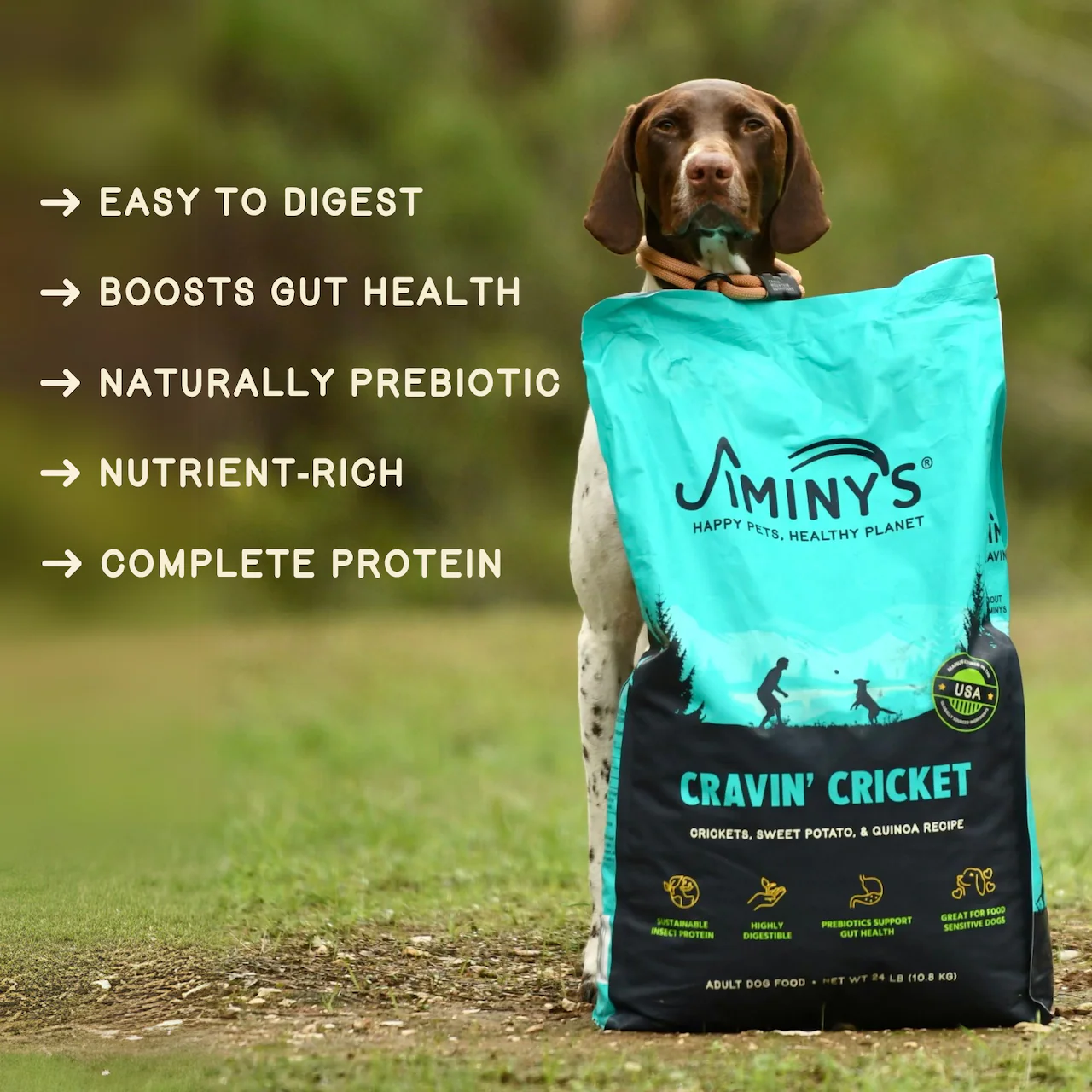 Jiminy's Cravin' Cricket Dry Dog Food, Sensitive Stomach, Improved Gut Health - Image 5