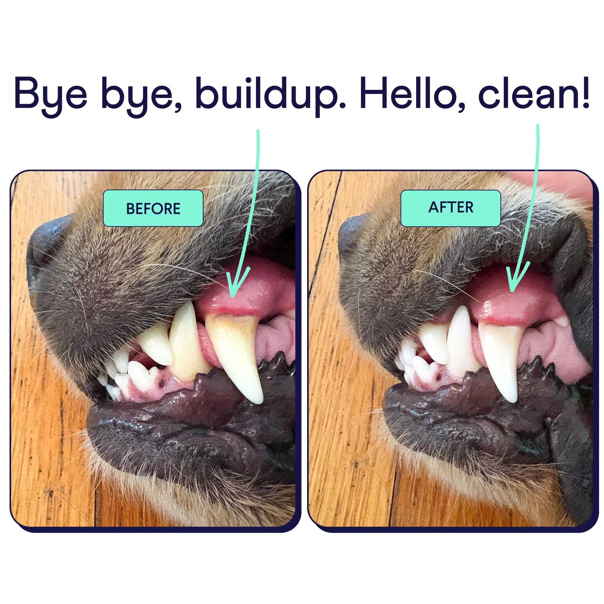 Dog Plaque Patrol Dental Powder - Image 10