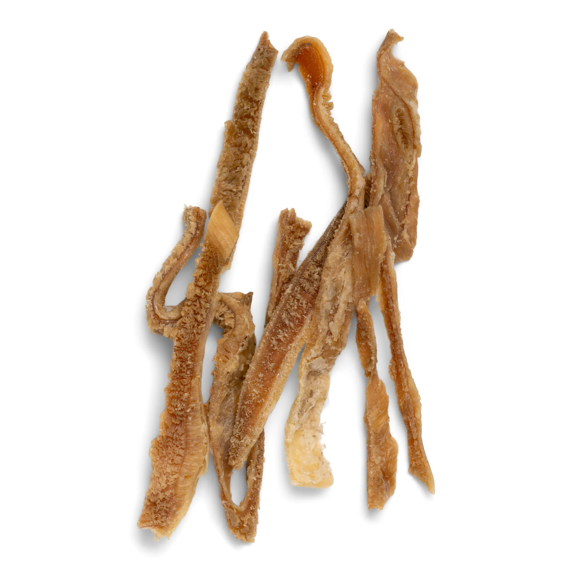 Dog Treat - Air-Dried Bison Tripe, Natural Source of Protein & Omegas - Image 5
