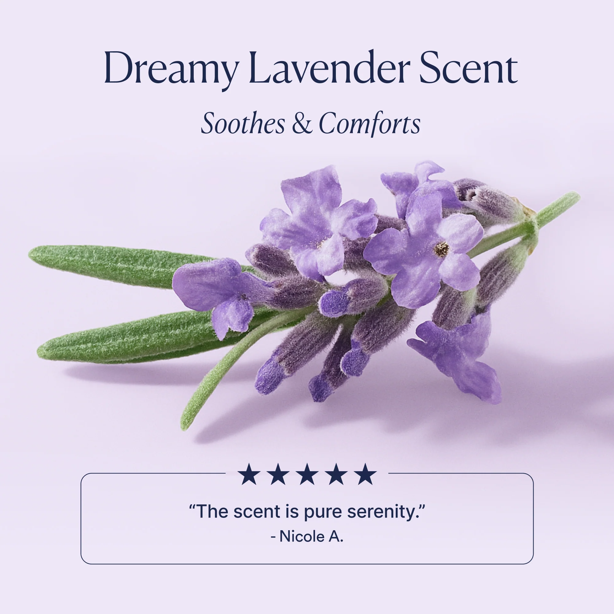Dream Bio-Retinol Body Serum - Image 6