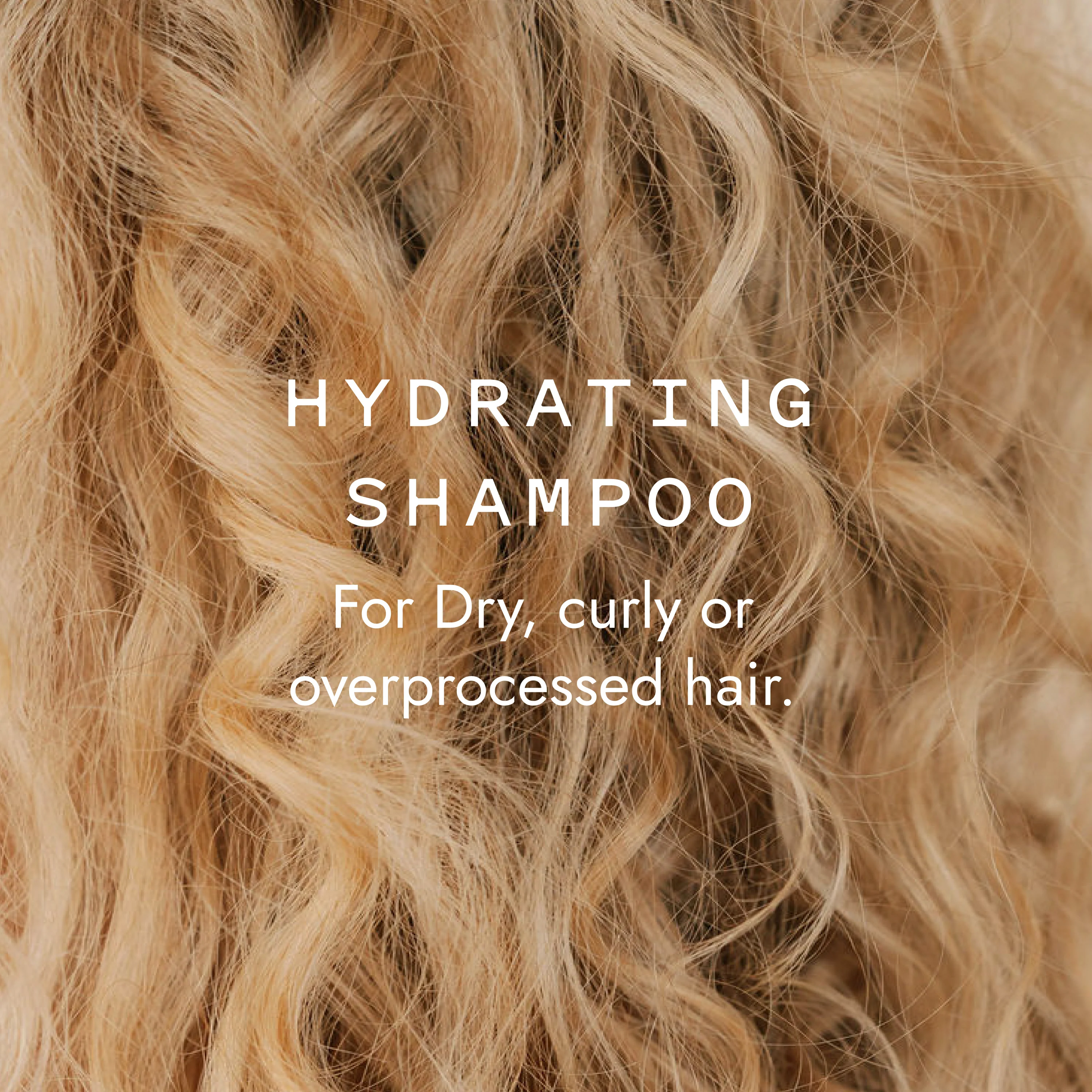 Hydrating Shampoo Bar - Image 5