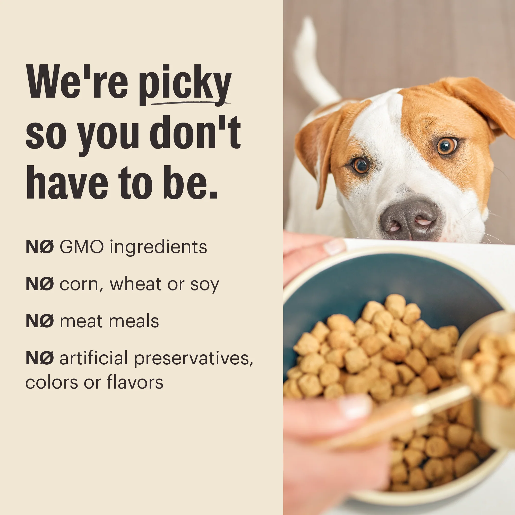 Dry Dog Food, Grain Free Chicken Whole Food Clusters - Image 5