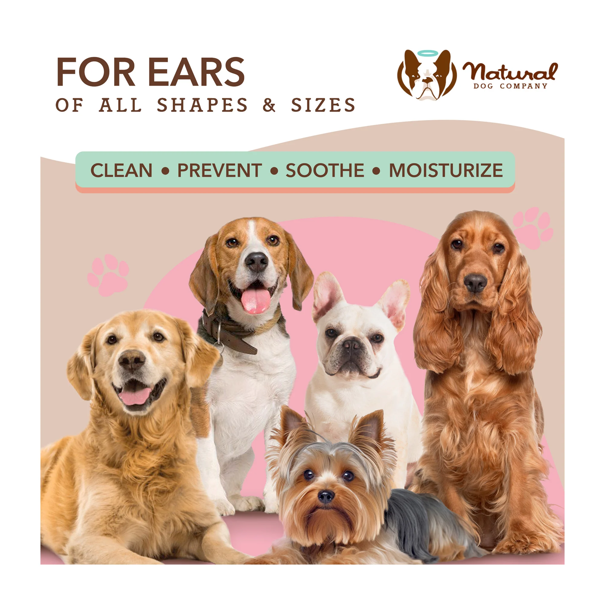 Ear Wipes - Image 8