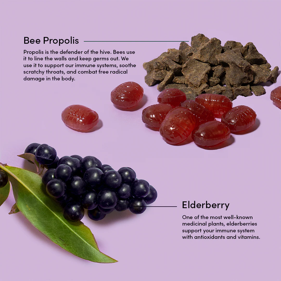 Elderberry Soothing Lozenges - Image 4