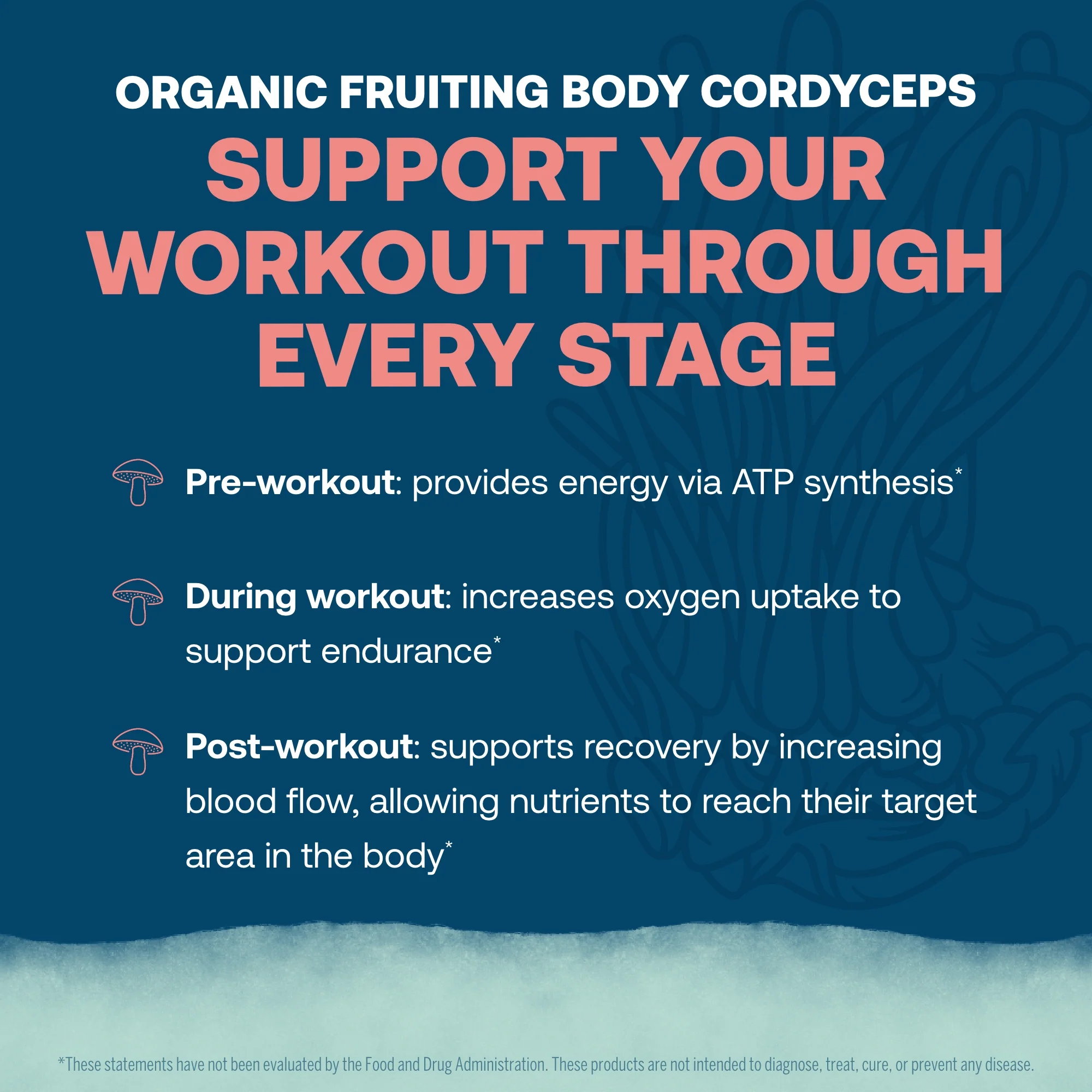 ElectroMag™ Electrolyte Powder Packets - Pure Hydration - Image 26