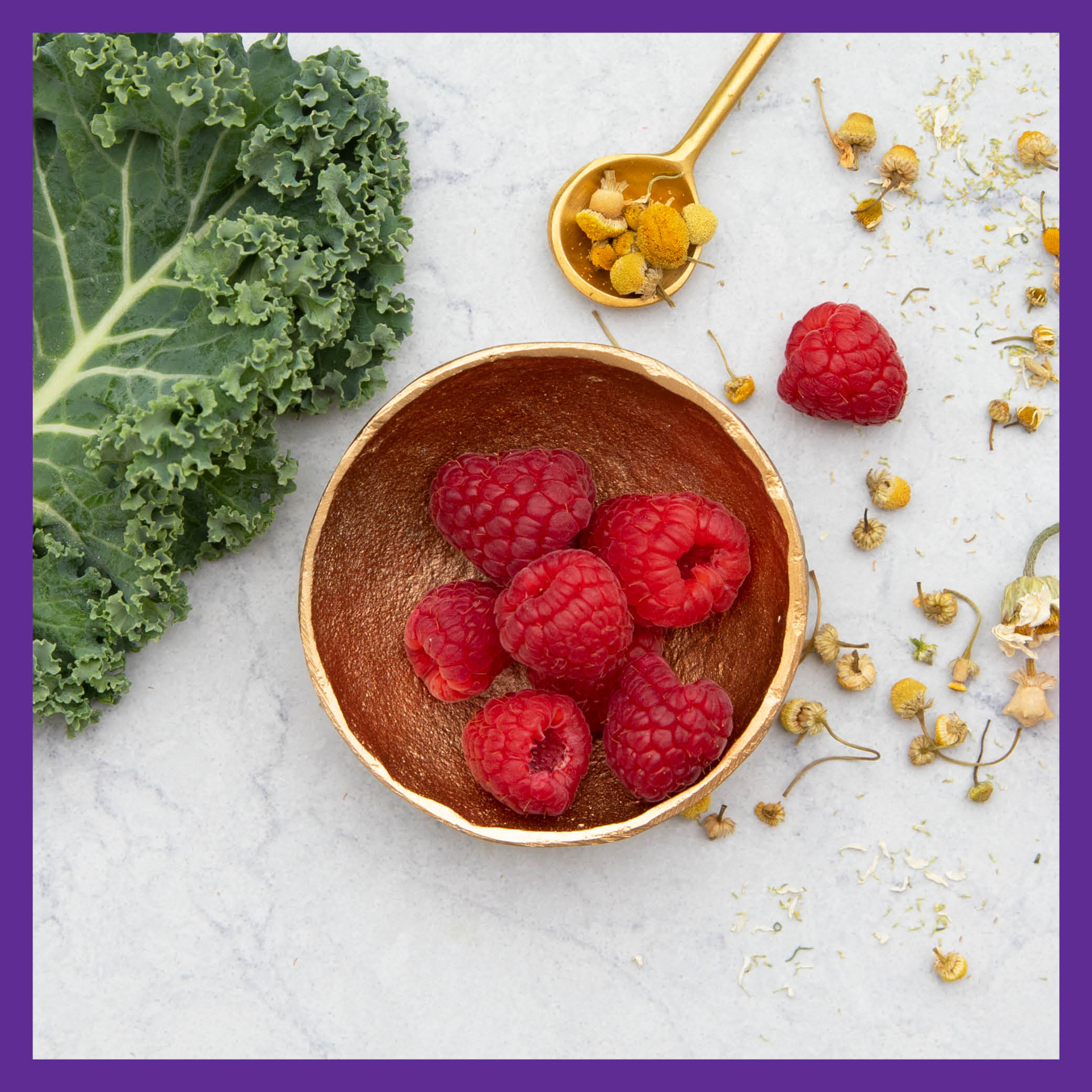 Every Woman™'s One Daily 40+ Multivitamin - For Immune, Energy & Healthy Aging Support - Image 7