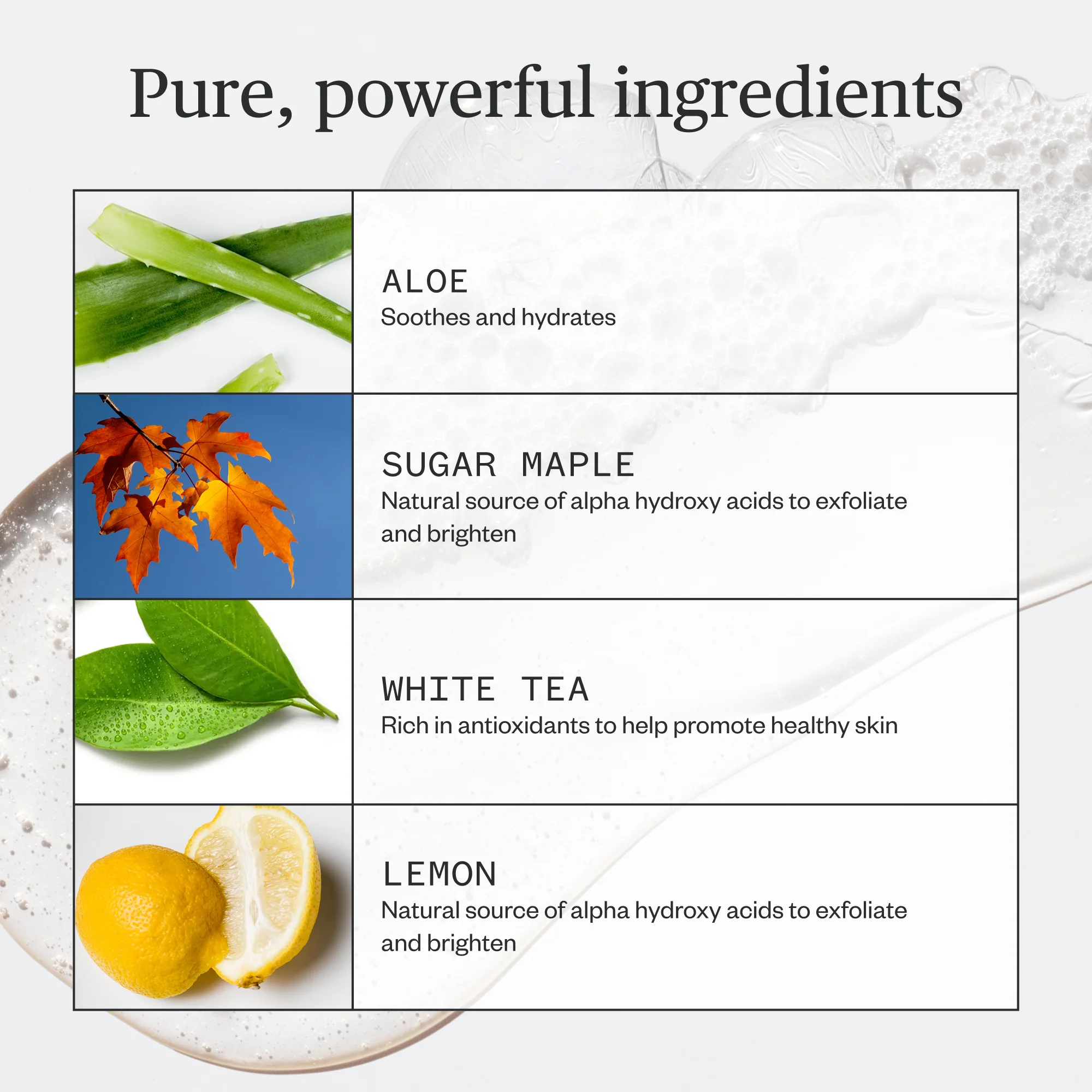Fantastic Face Wash Traveler - Image 8