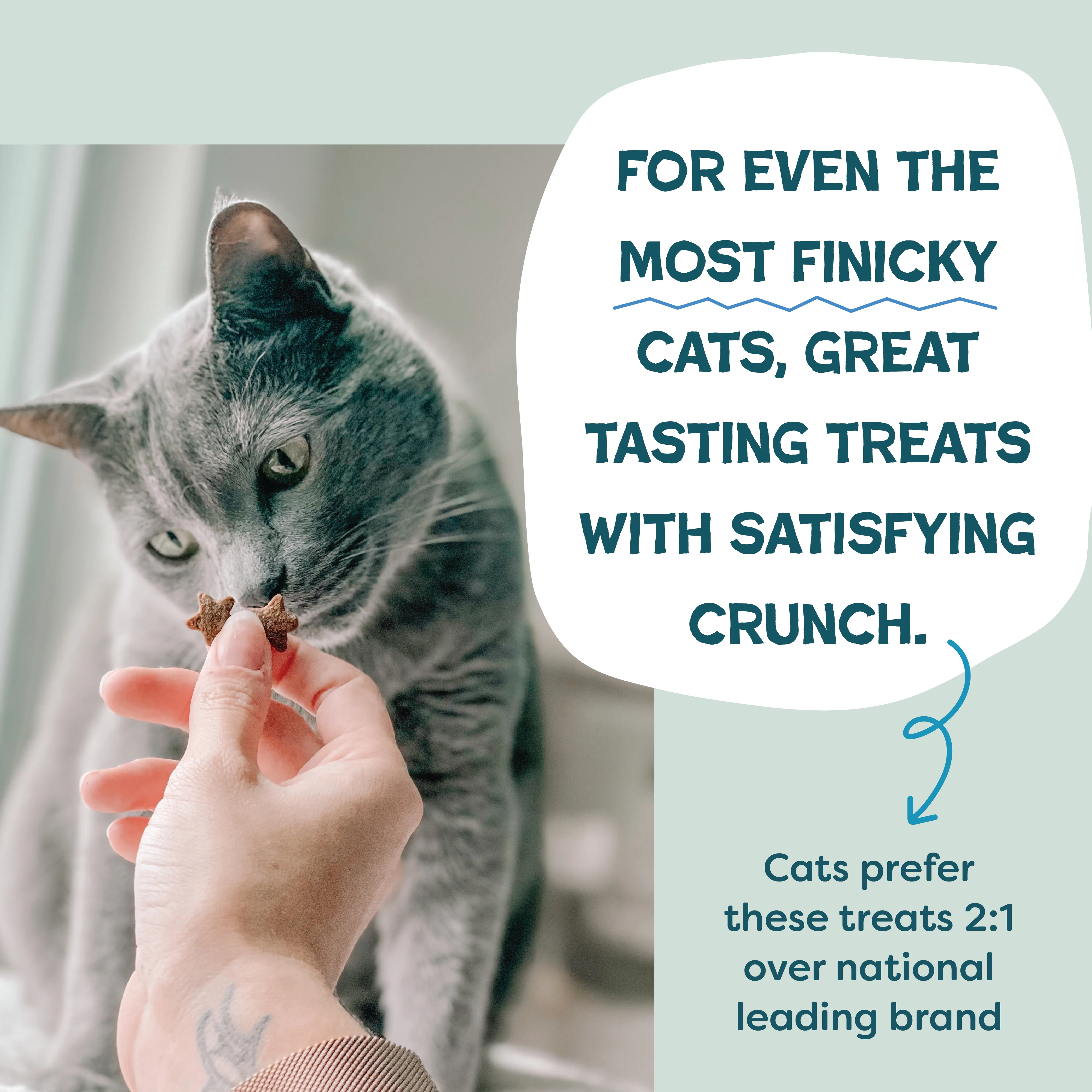 Fintastic Catnip - Image 5
