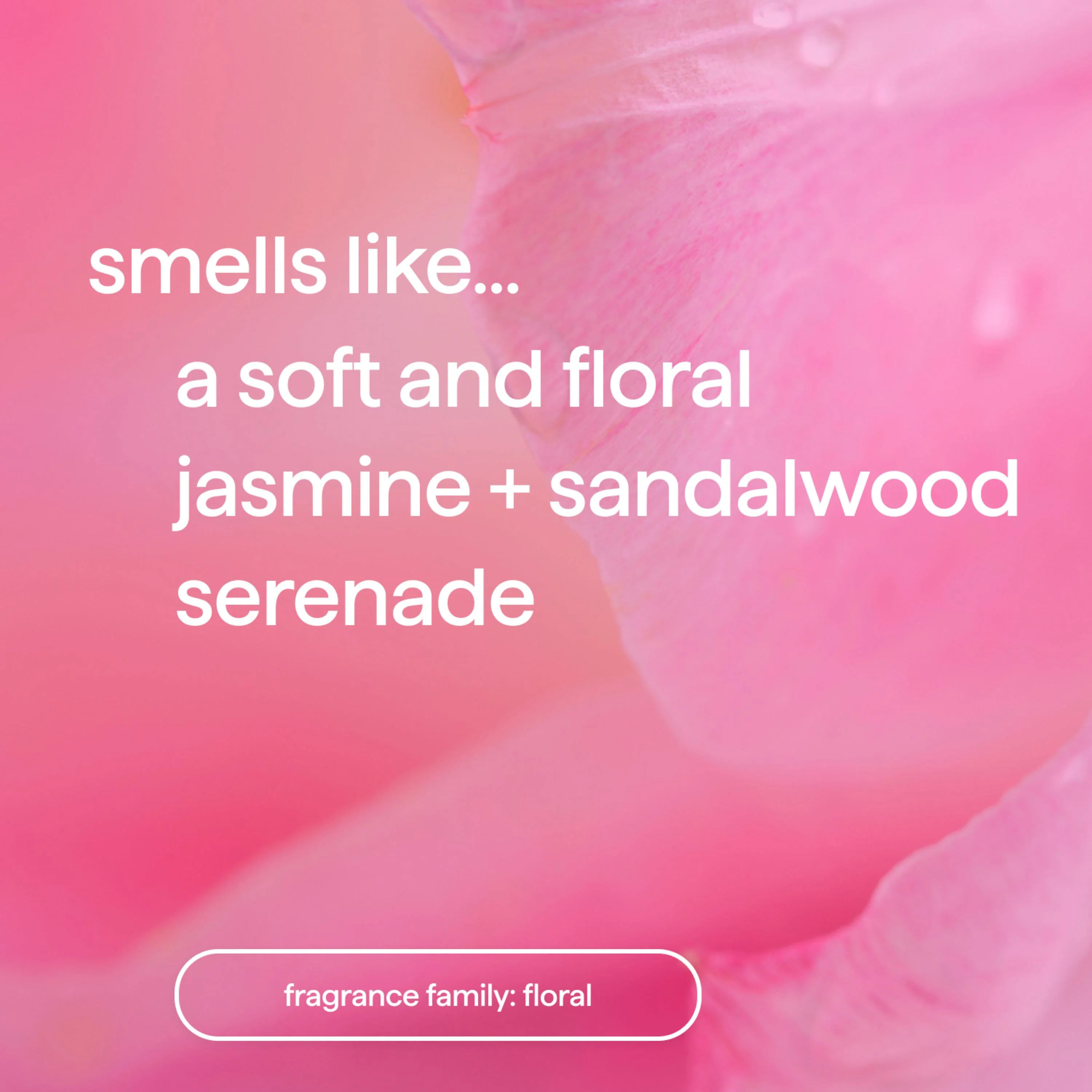 Foaming Body Wash - Image 17