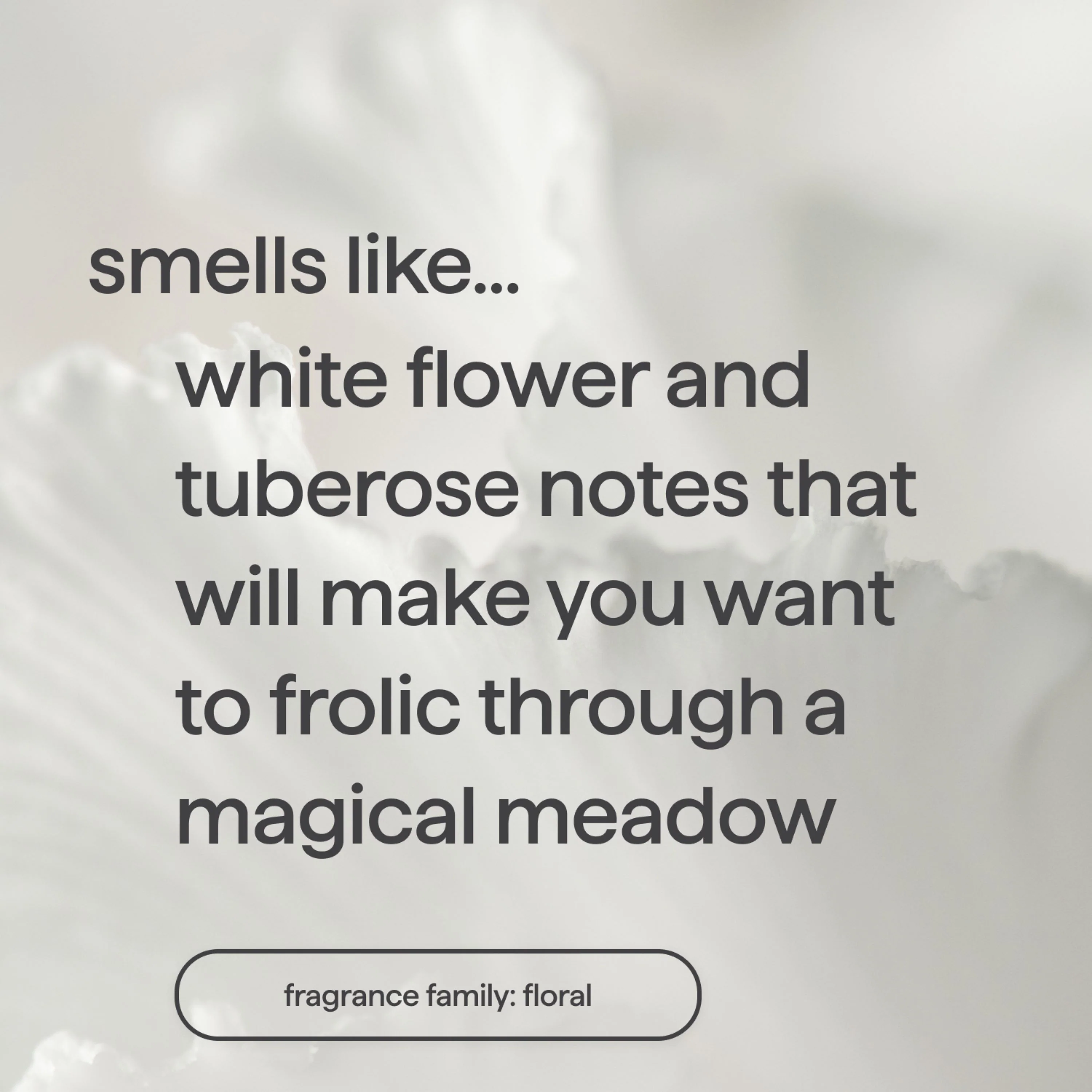 Foaming Body Wash - Image 37
