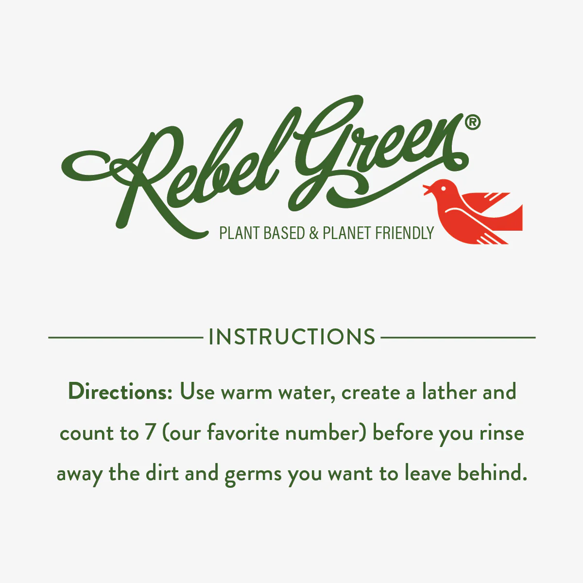Fresh & Clean Hand Soap - Image 6