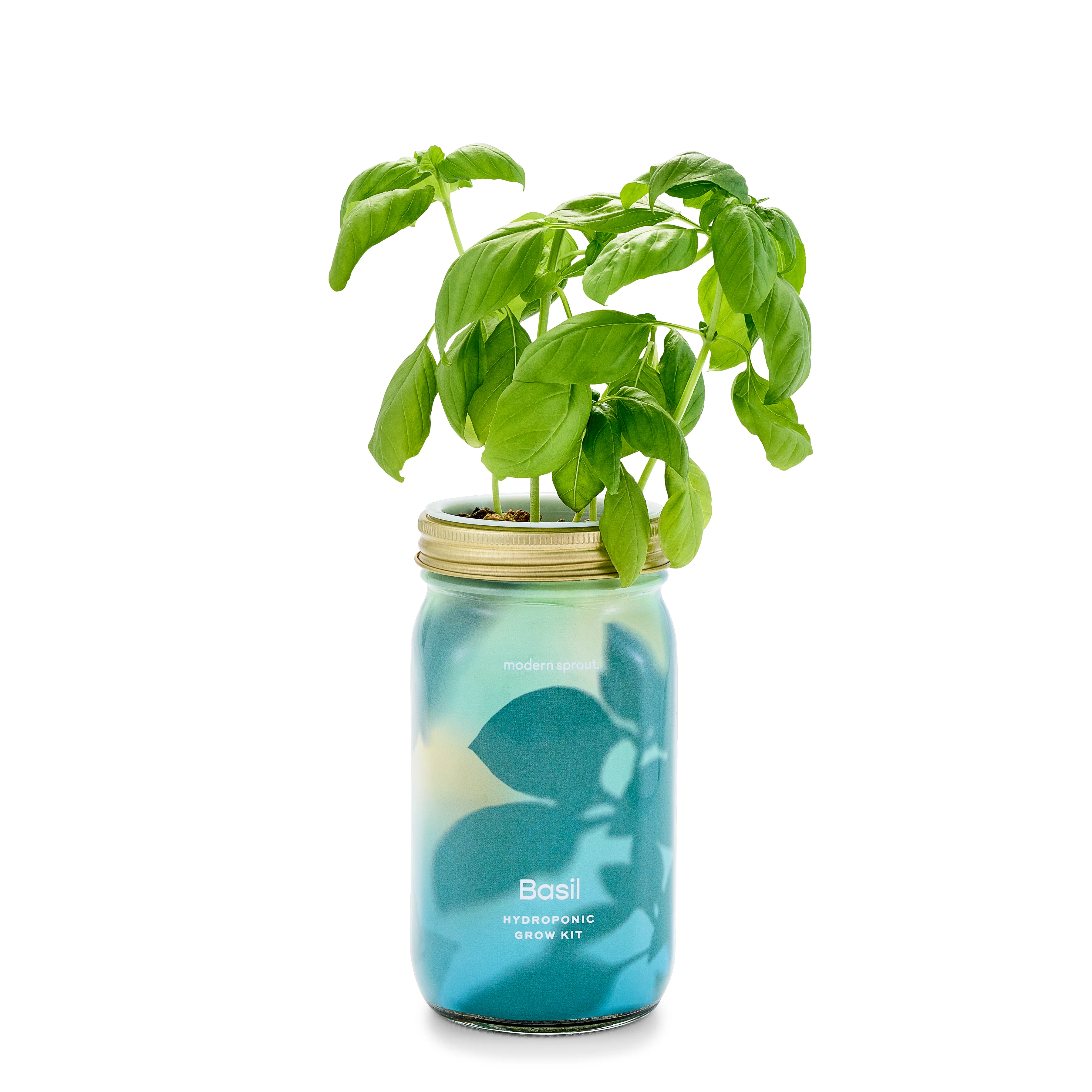 Garden Jar - Image 10