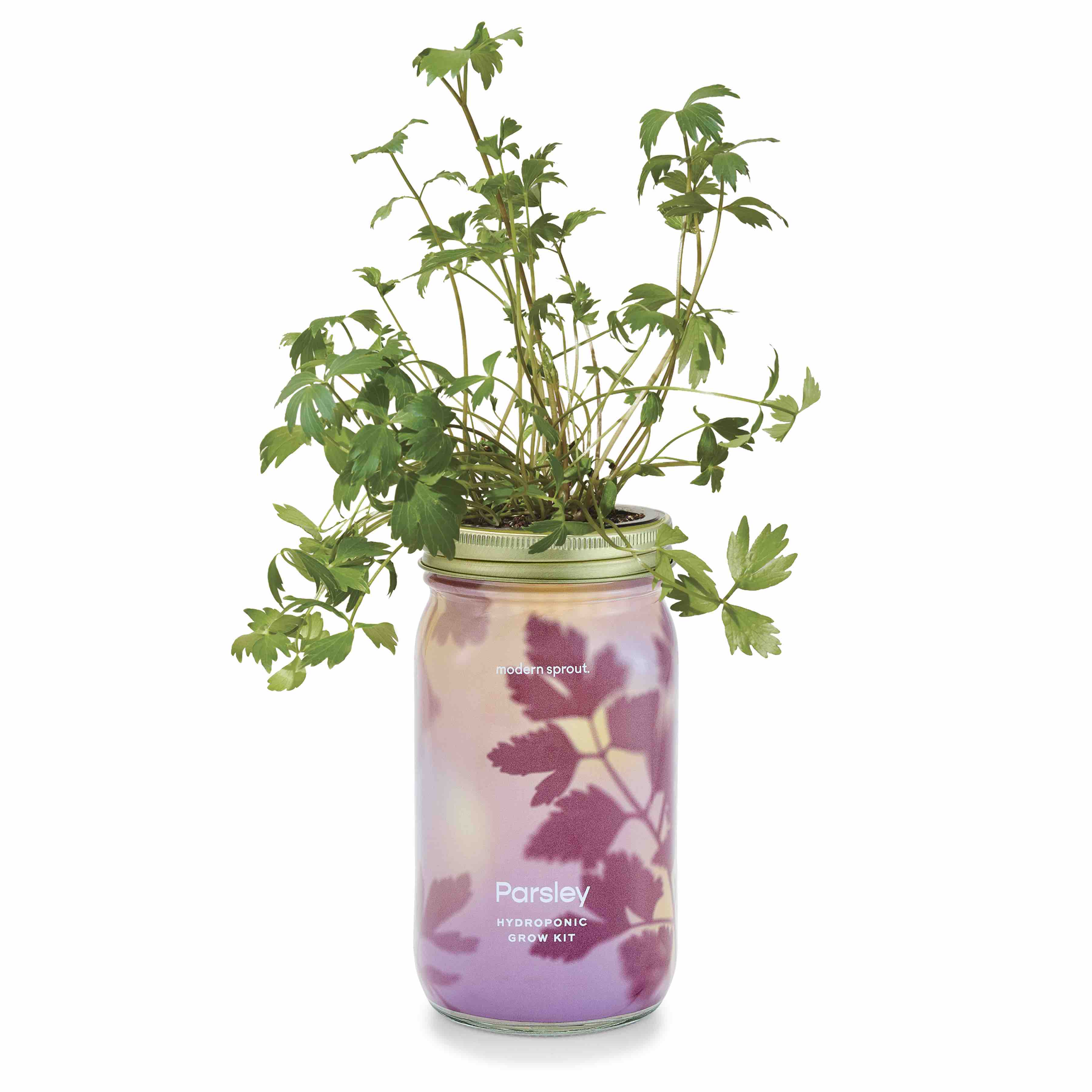 Garden Jar - Image 13