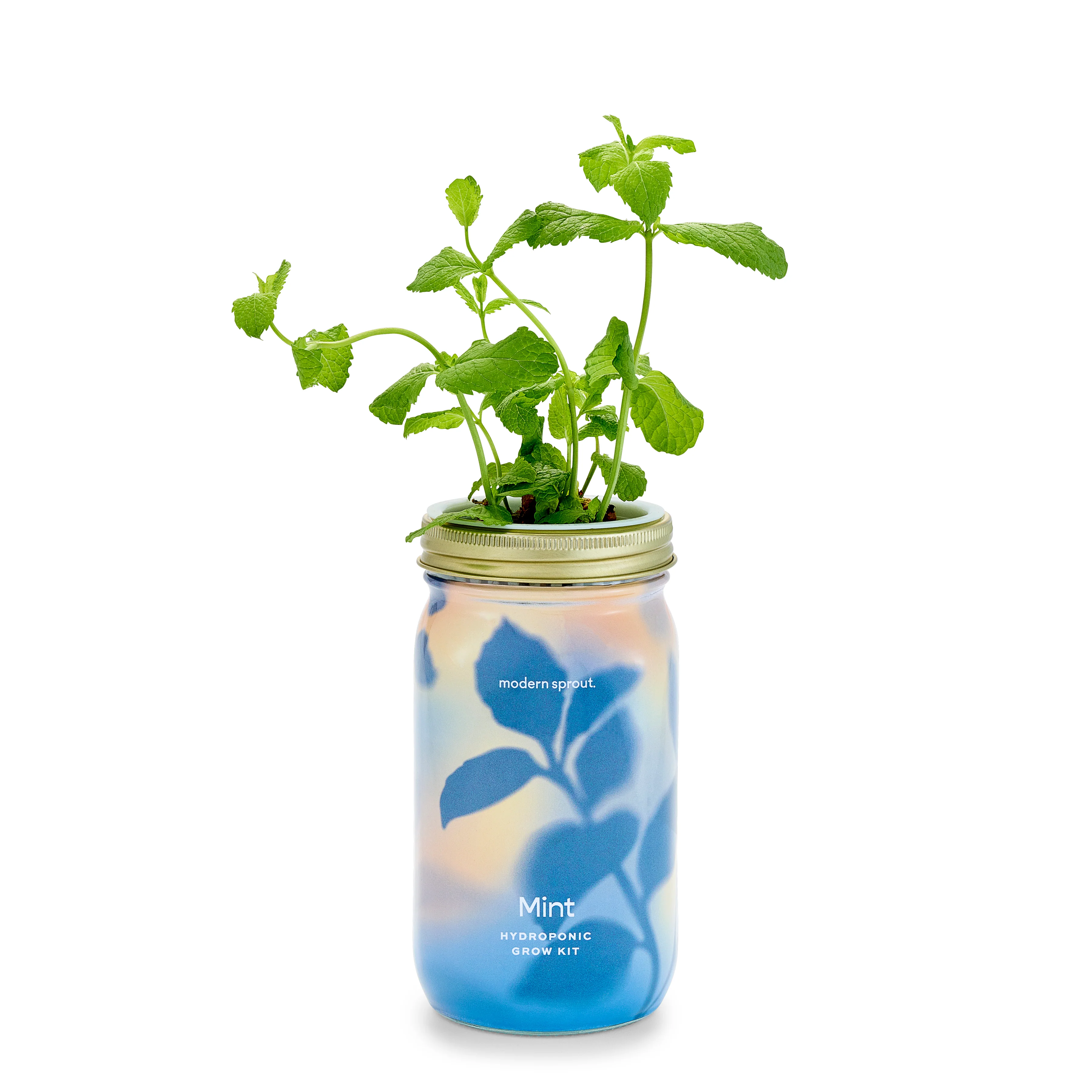 Garden Jar - Image 6
