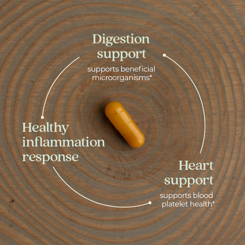 Ginger Force™, Digestion, Intestinal & Cardiovascular Health - Image 12