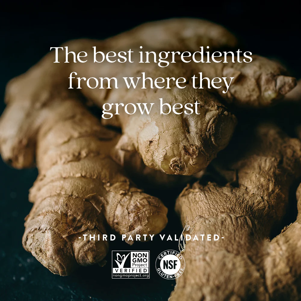 Ginger Force™, Digestion, Intestinal & Cardiovascular Health - Image 4