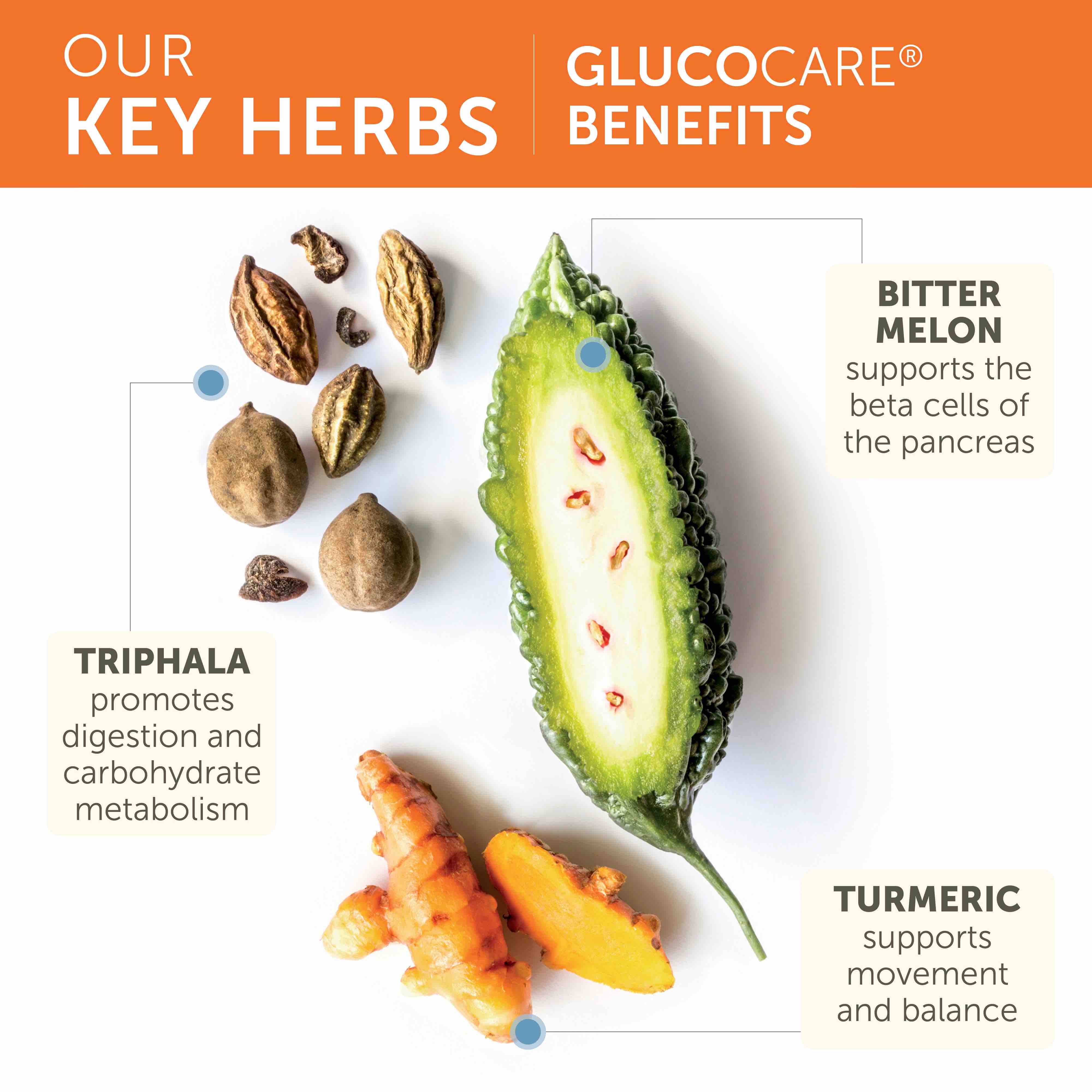 Glucocare - Image 3