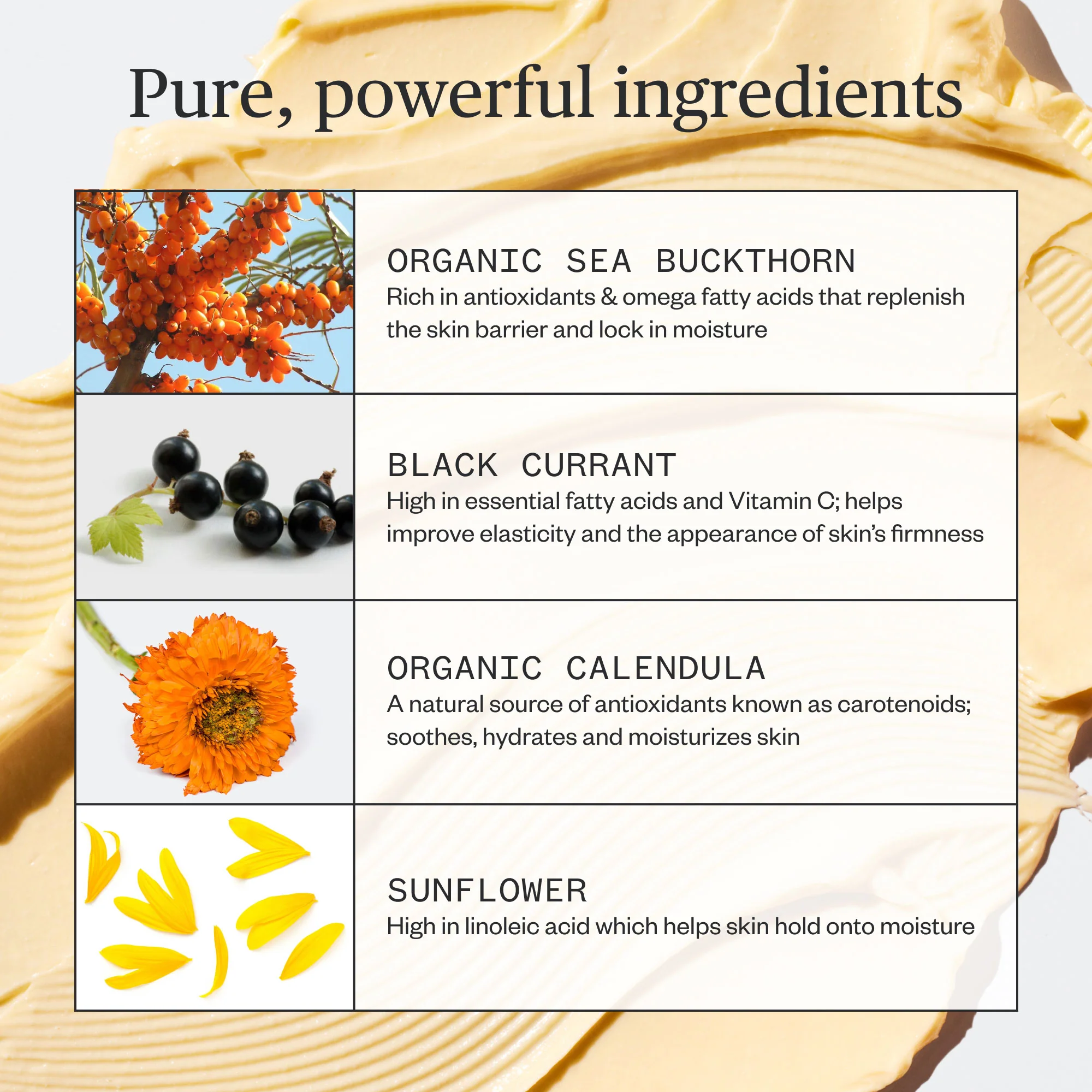 Golden Hour Recovery Cream - Image 19