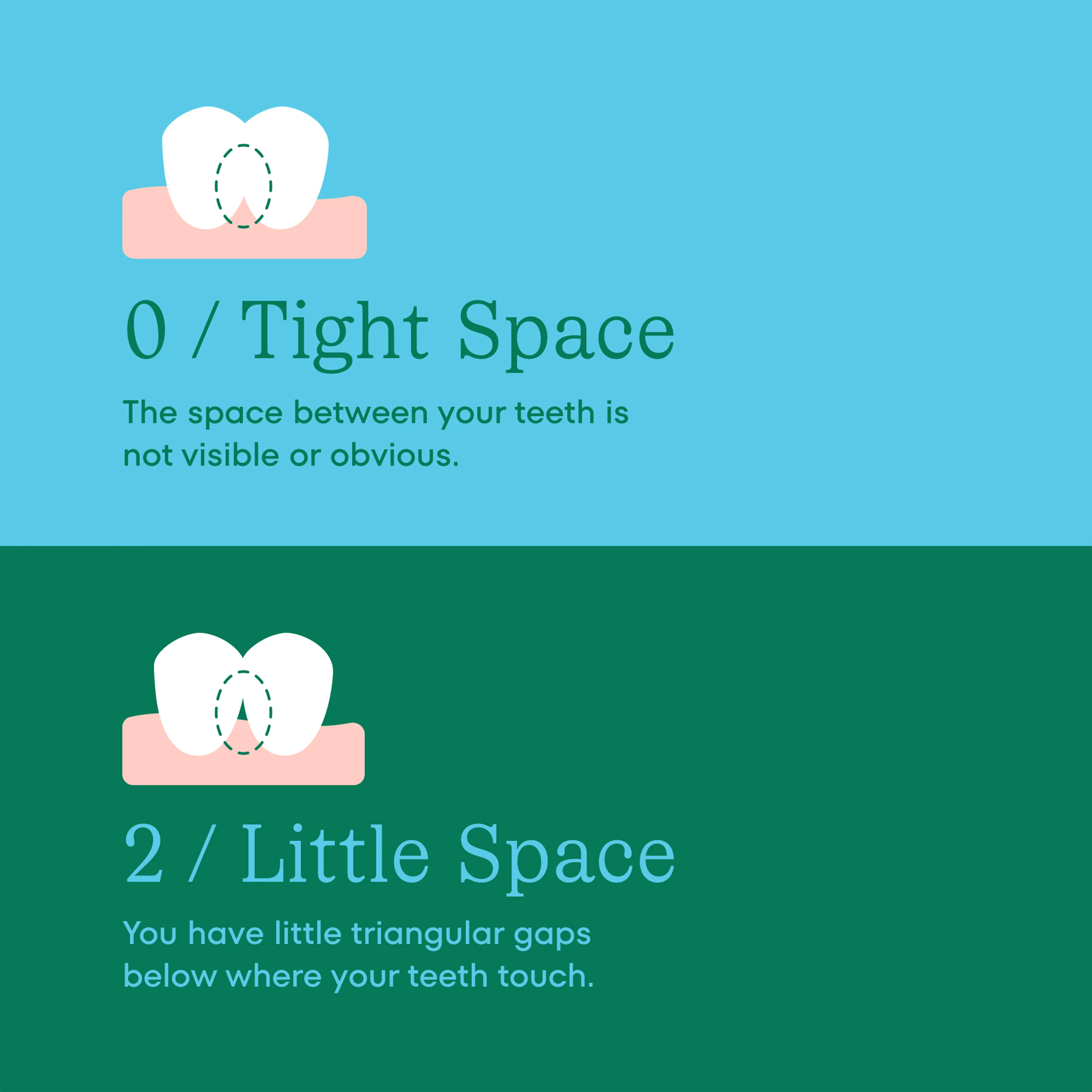 Great Gums Brush - Image 3