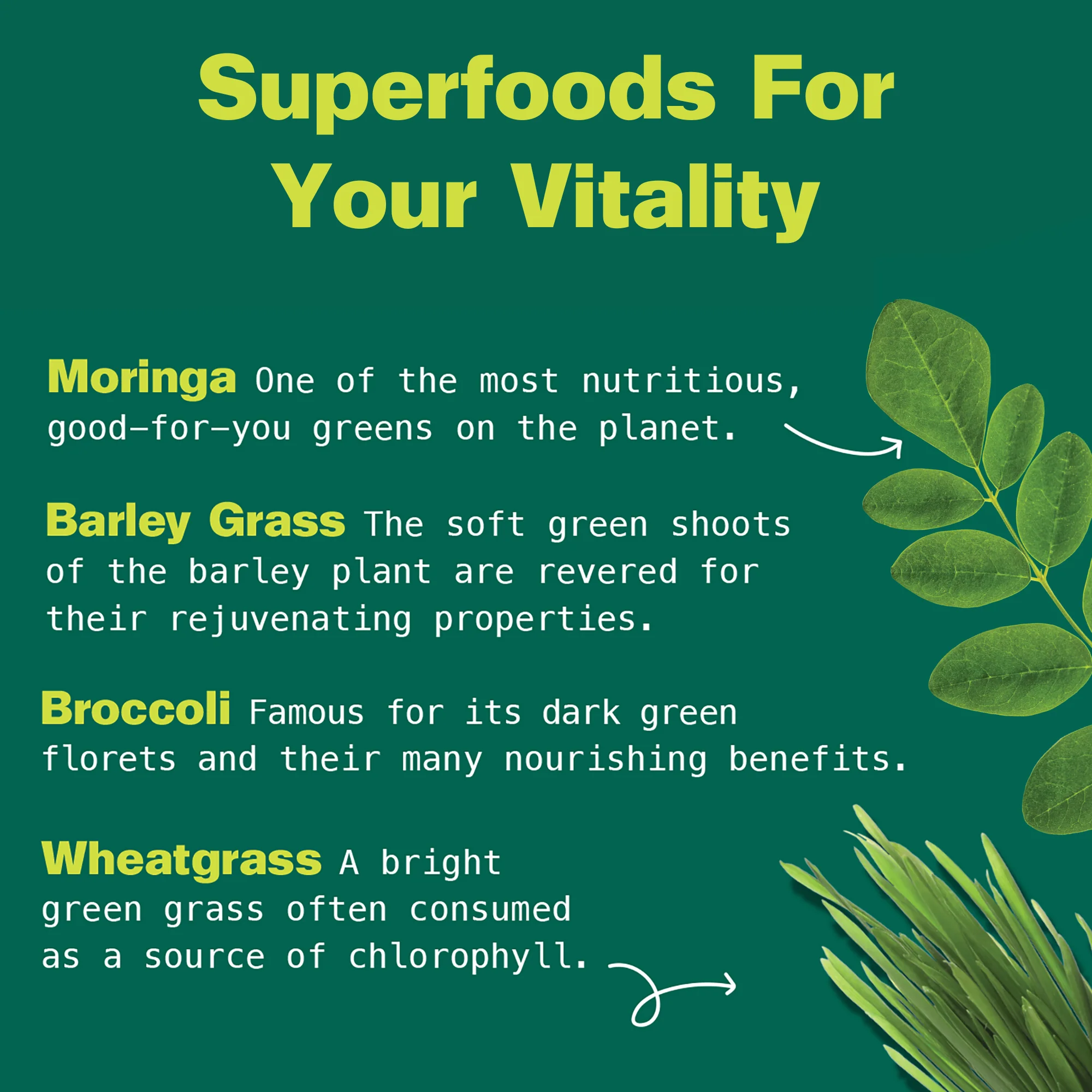 Green Power Organic Super Greens Blend - Image 6