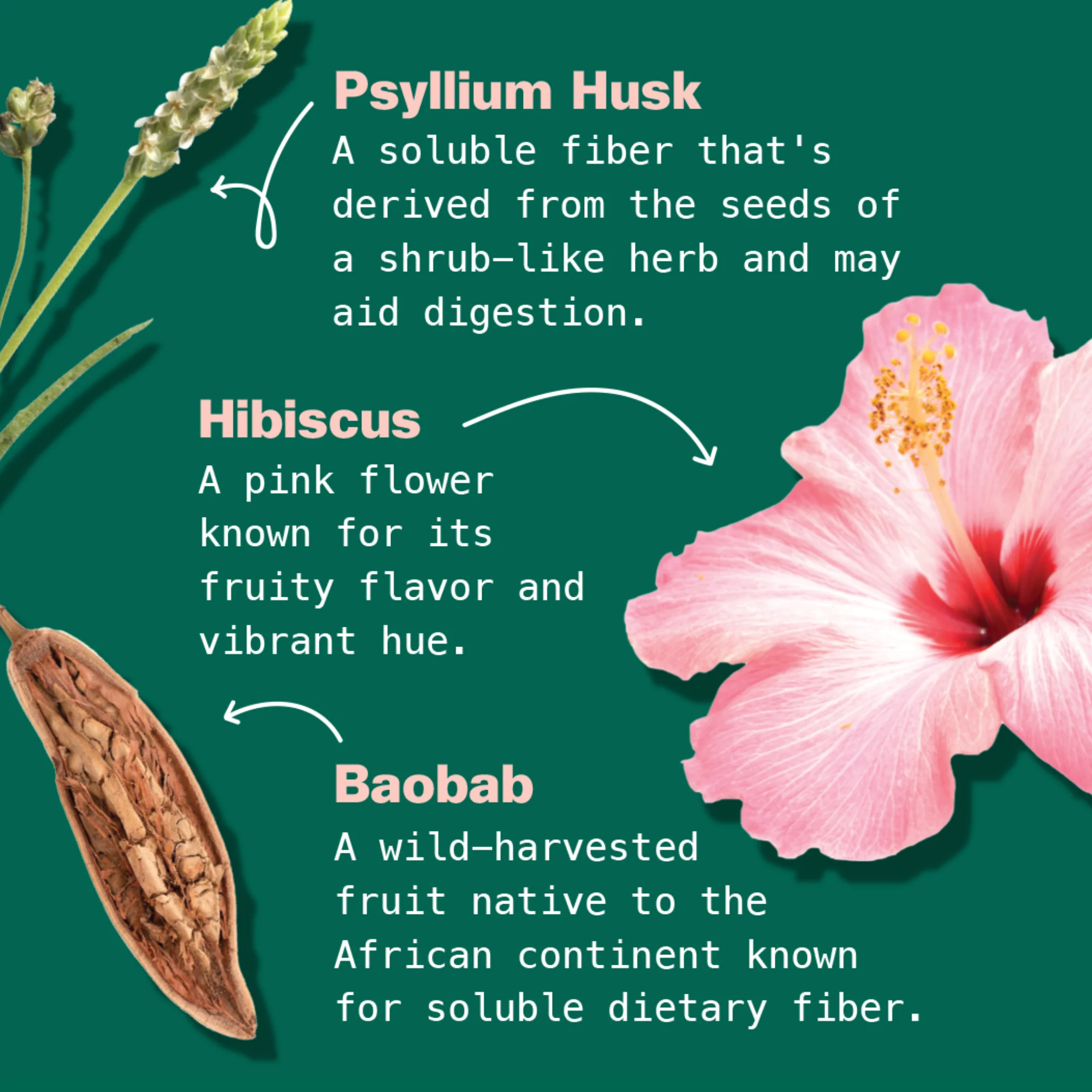 Gut Health Organic Superfood Latte - Image 6