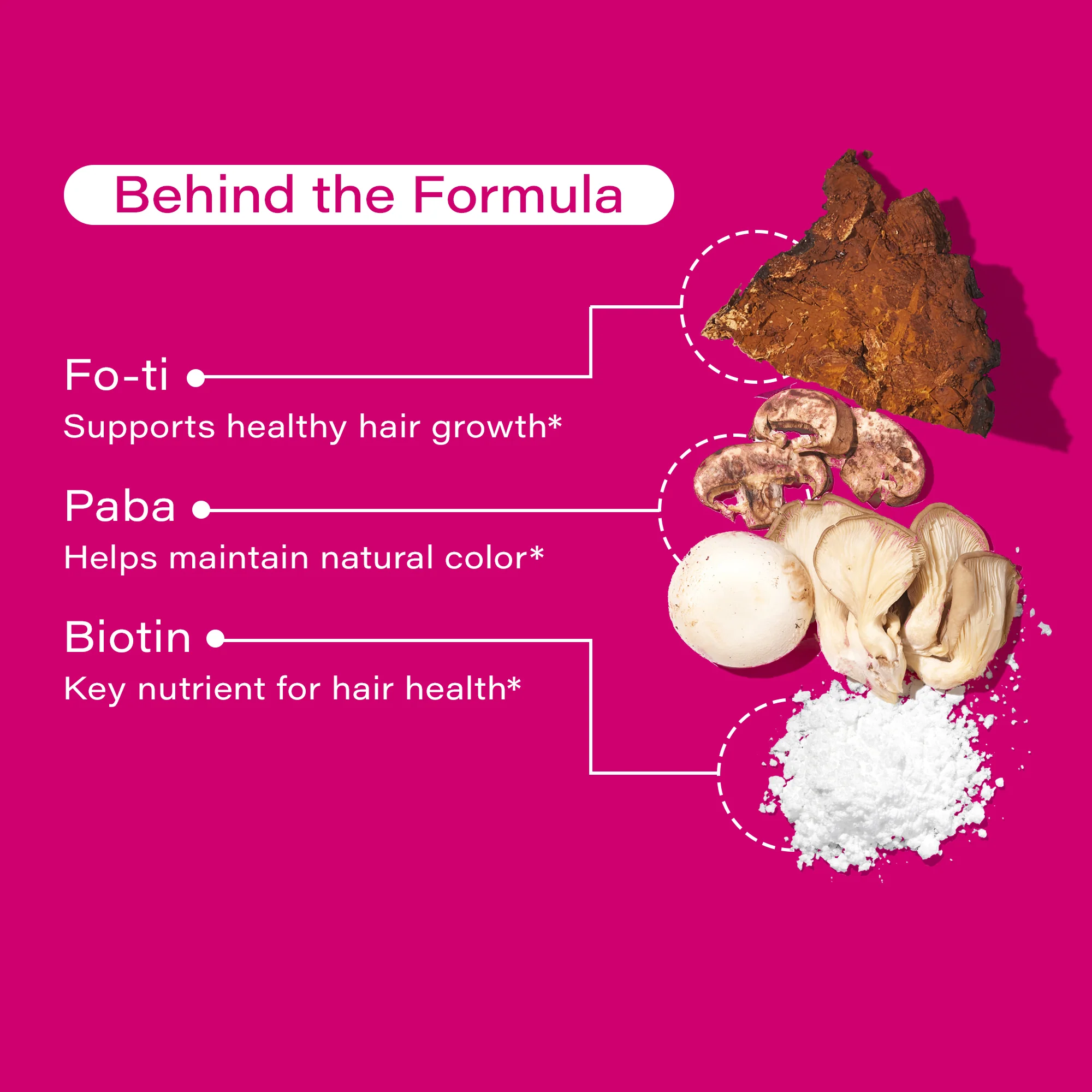 Hair Strong - Capsules for Growth with Biotin, Fo-Ti, & Paba - Image 4