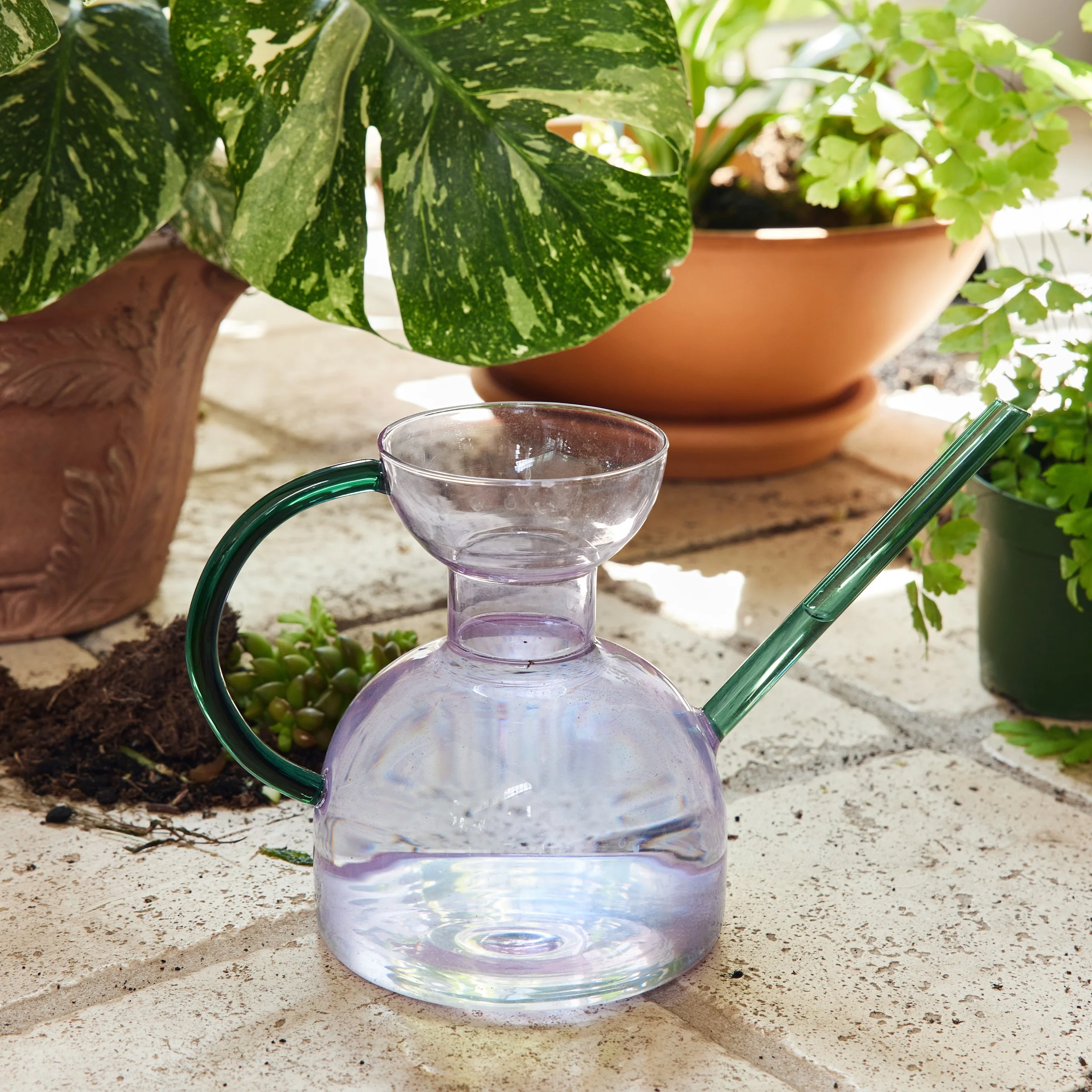 Handcrafted Borosilicate Glass Watering Can - Image 15