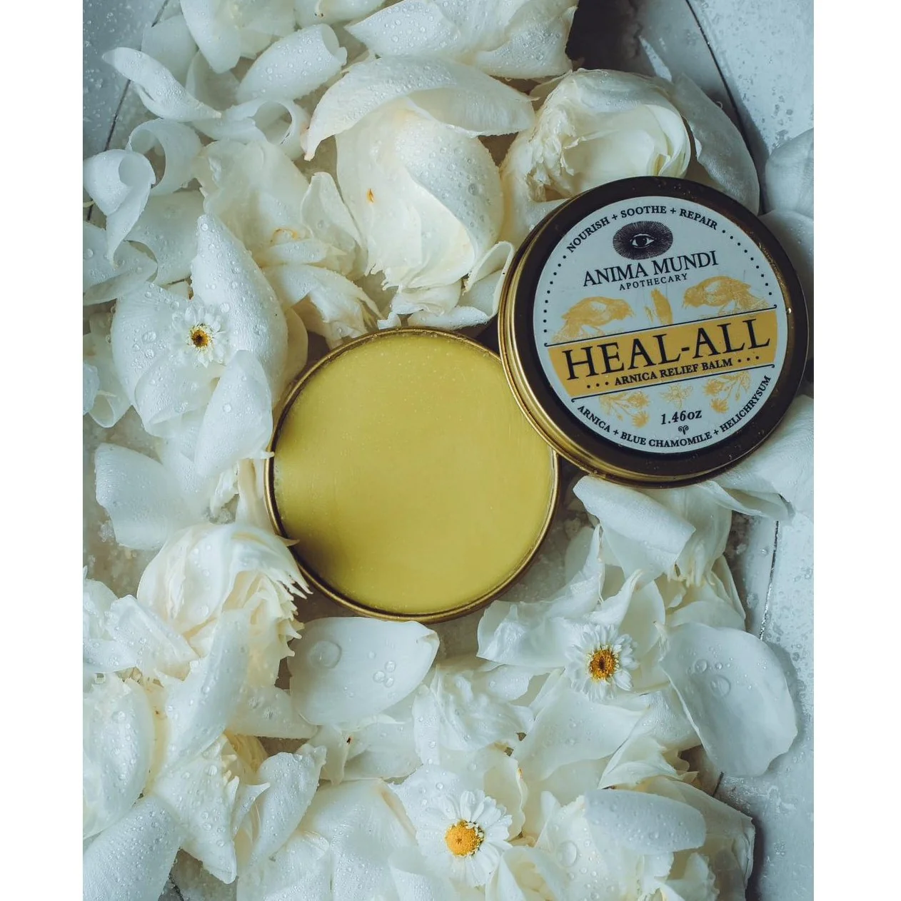 HEAL-ALL Arnica Relief Balm, Nourish, Soothe + Repair - Image 3