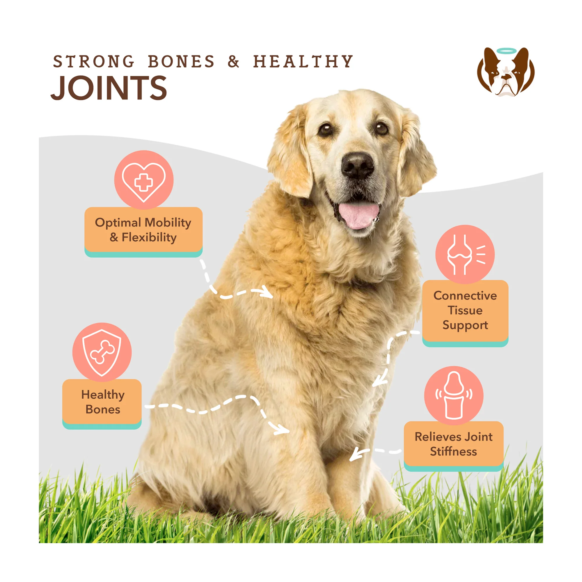 Hip & Joint Supplement for Dog, Soft Chews with Glucosamine & Chondroitin - Image 6