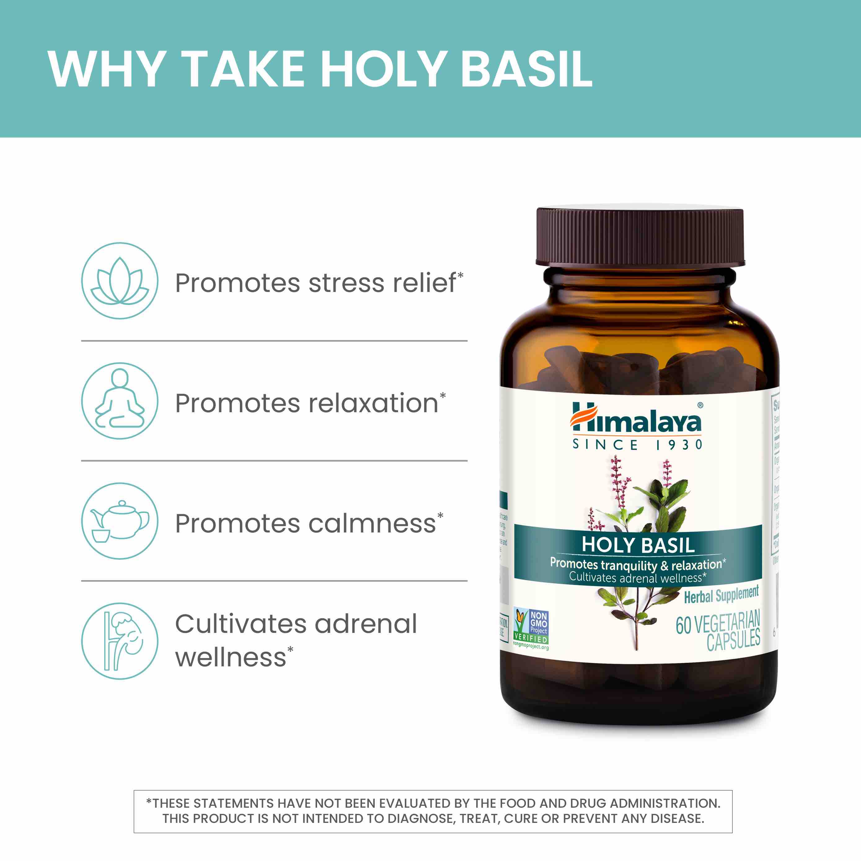 Holy Basil - Image 3