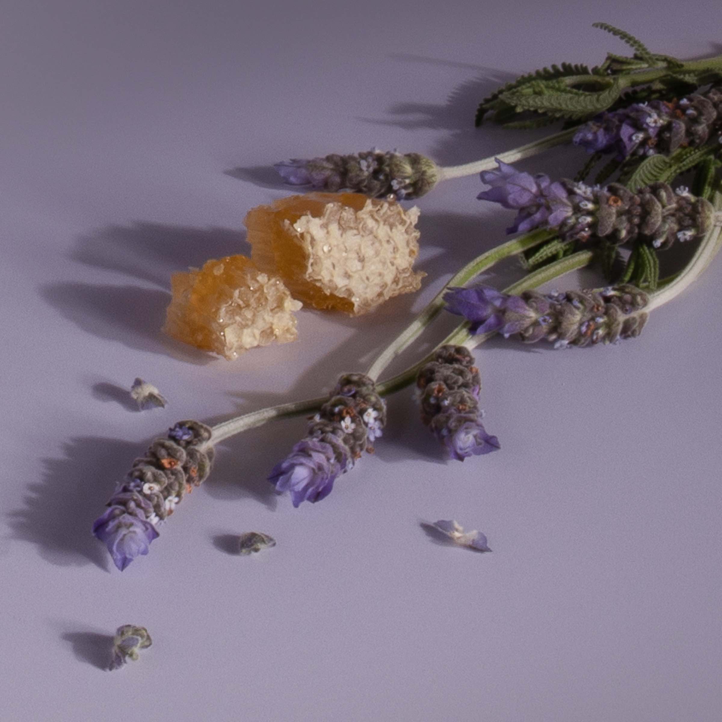 Stix Diffuser Air Freshener Starter Set - Image 48