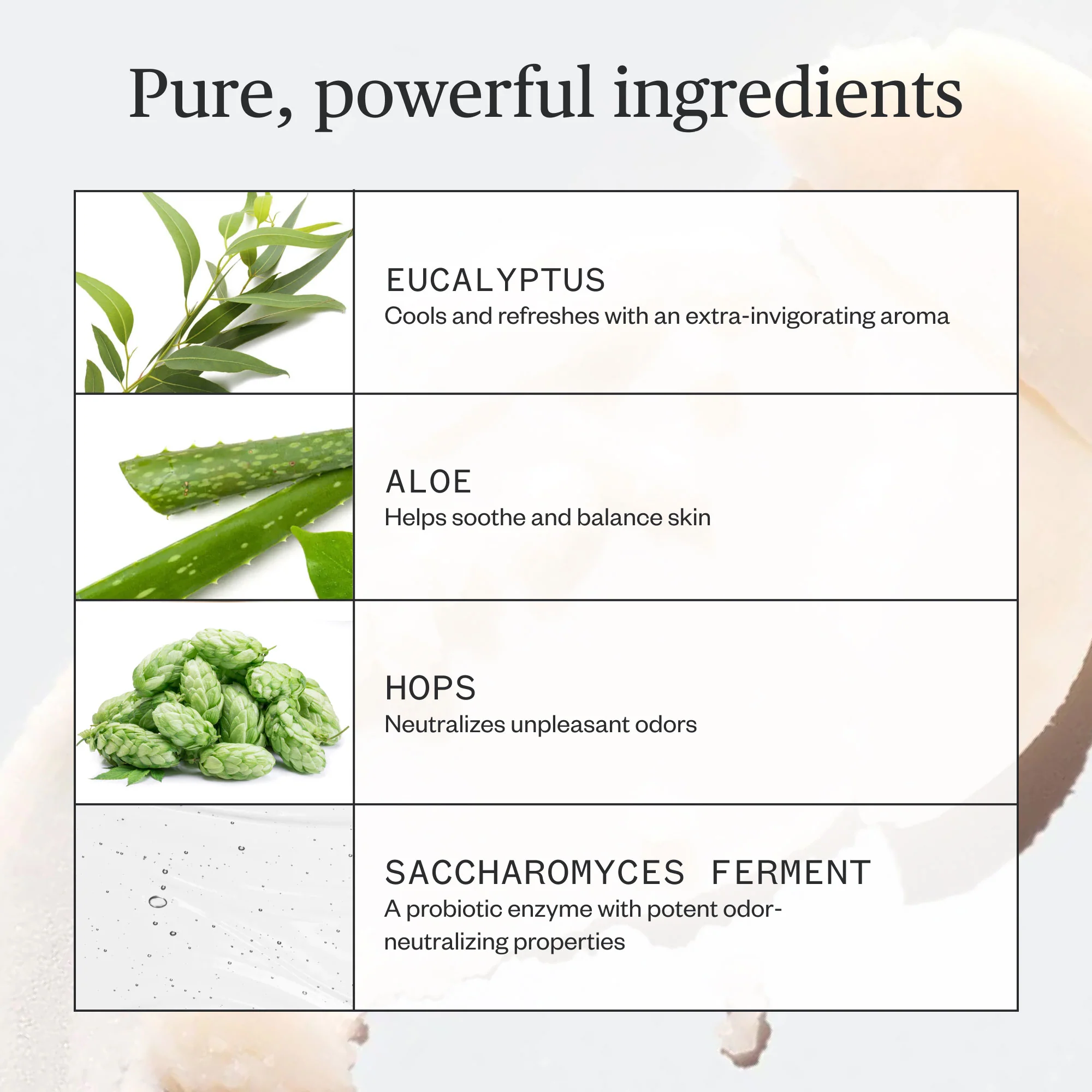 Hoppin' Fresh Deodorant - Image 8