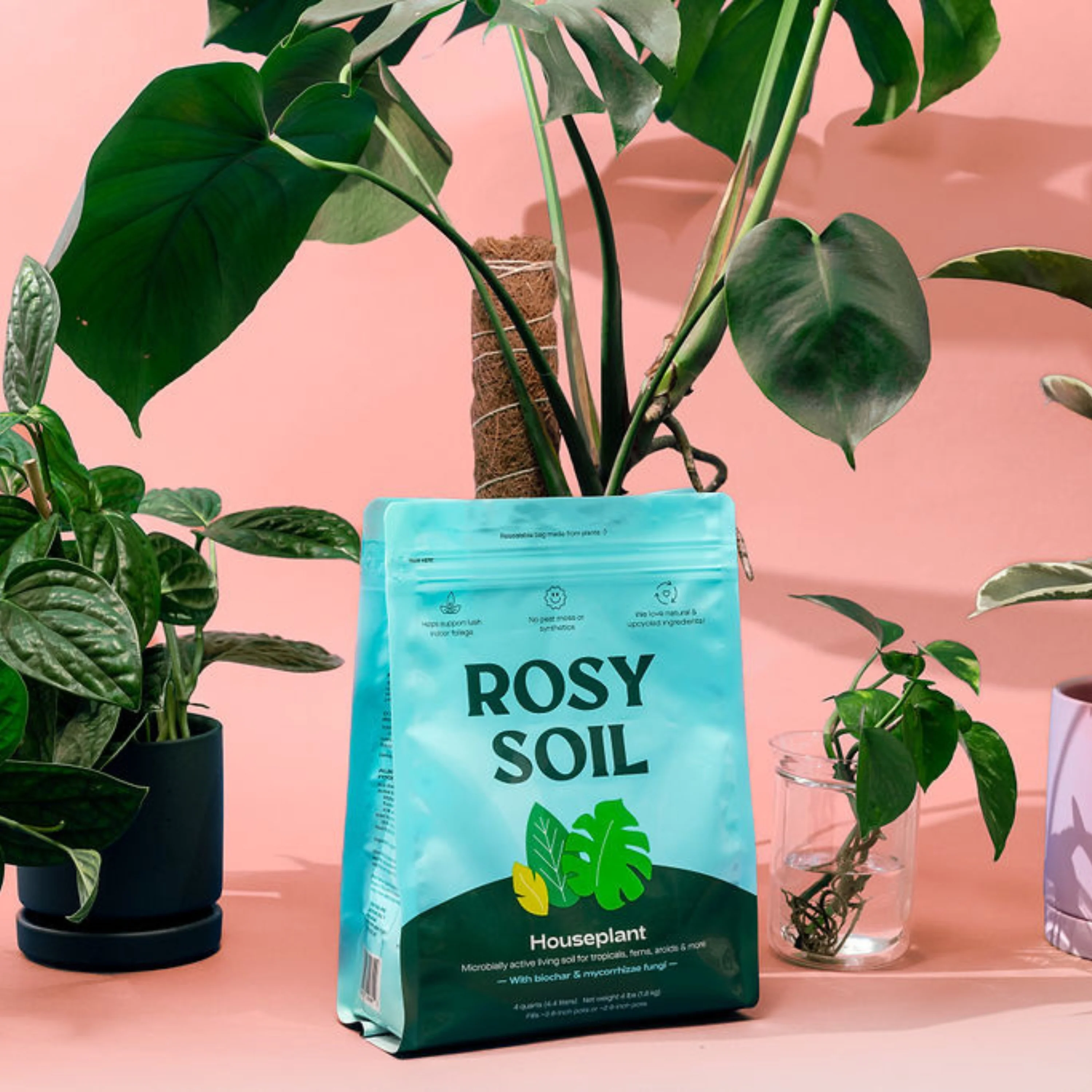 Houseplant Potting Soil - Image 14