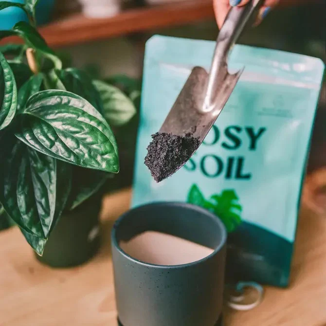 Houseplant Potting Soil - Image 7
