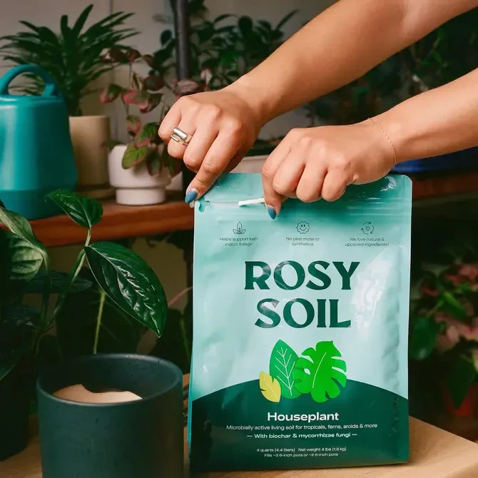 Houseplant Potting Soil - Image 8