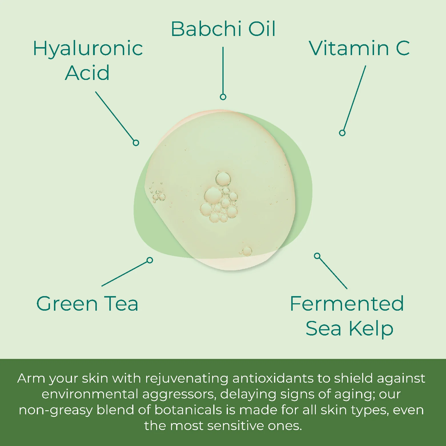 Hyaluronic Acid Vitamin C Serum - Image 2