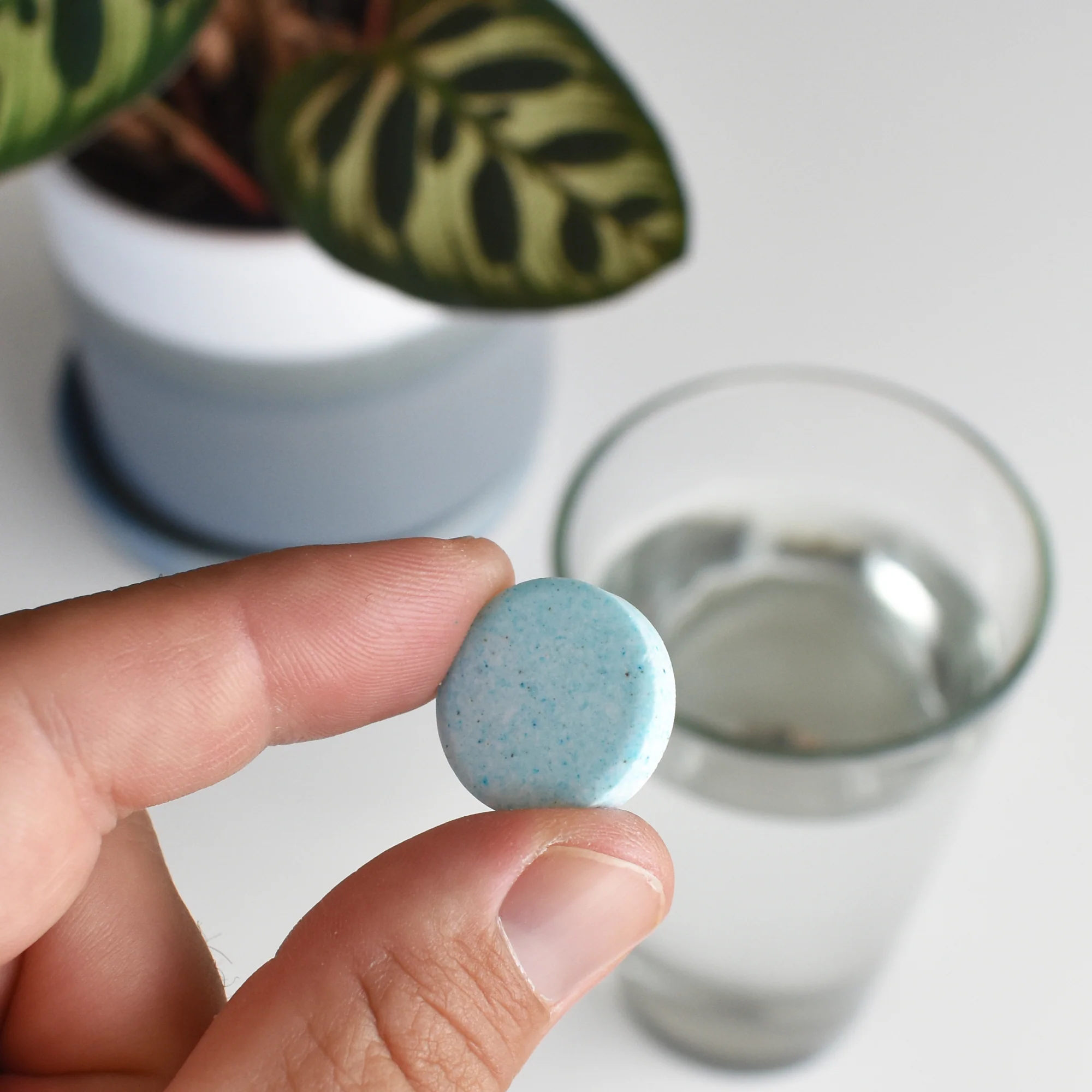 Instant Plant Food Tablets - Image 10