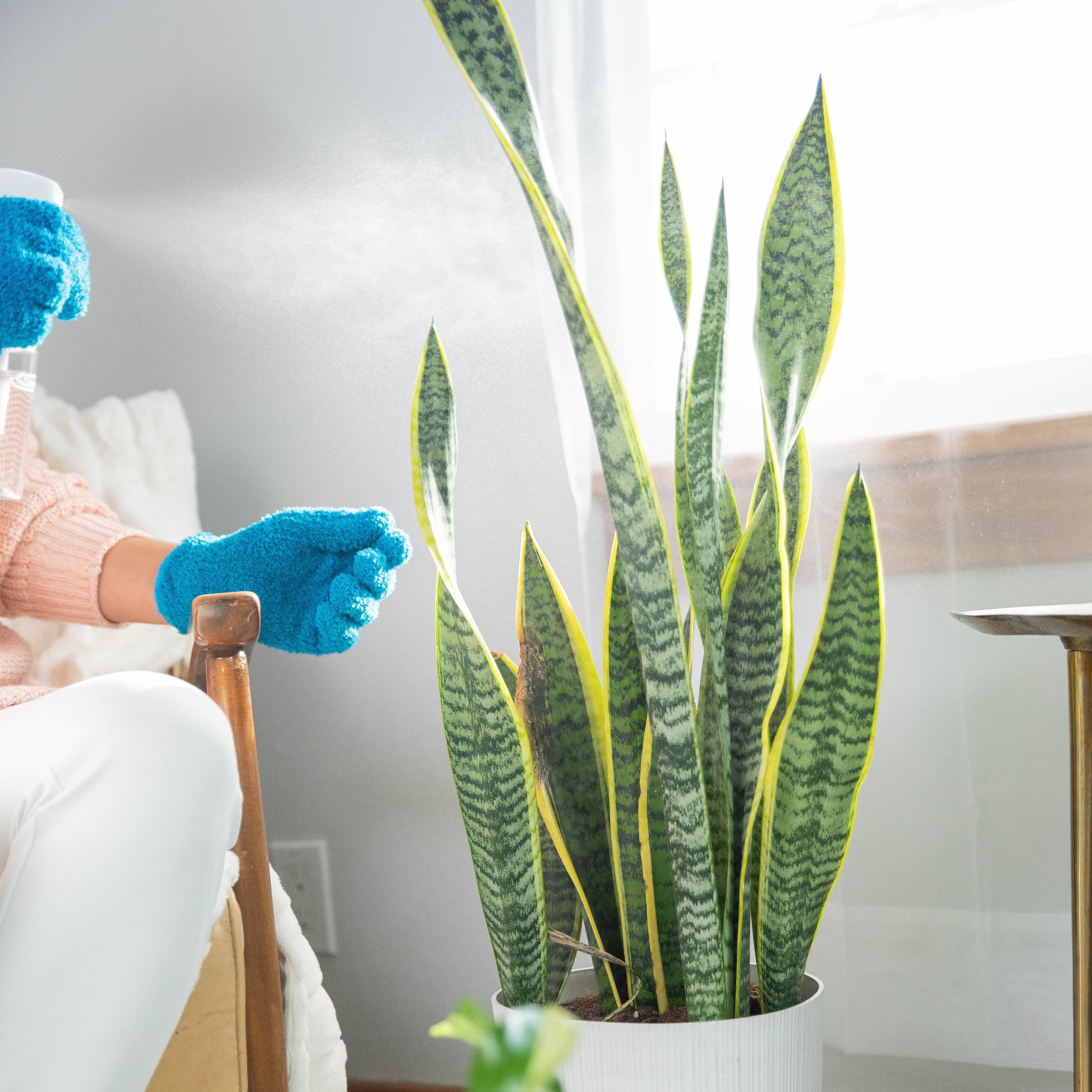 Instant Plant Protection - Image 5