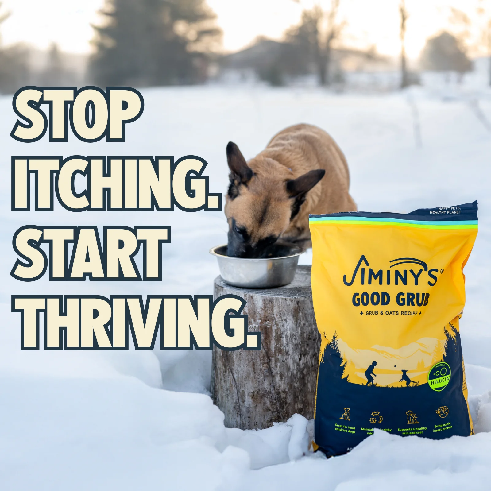 Jiminy's Good Grub Dry Dog Food, Allergy Relief, Healthy Skin & Coat - Image 4