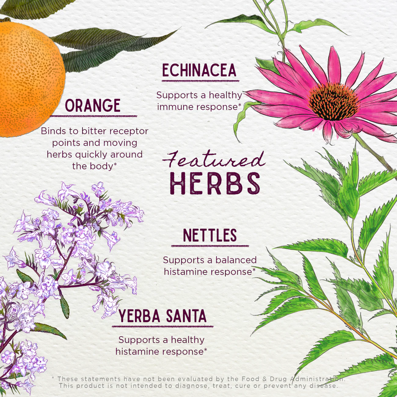 Kick-Ass Allergy - Herbal Supplement - Image 4