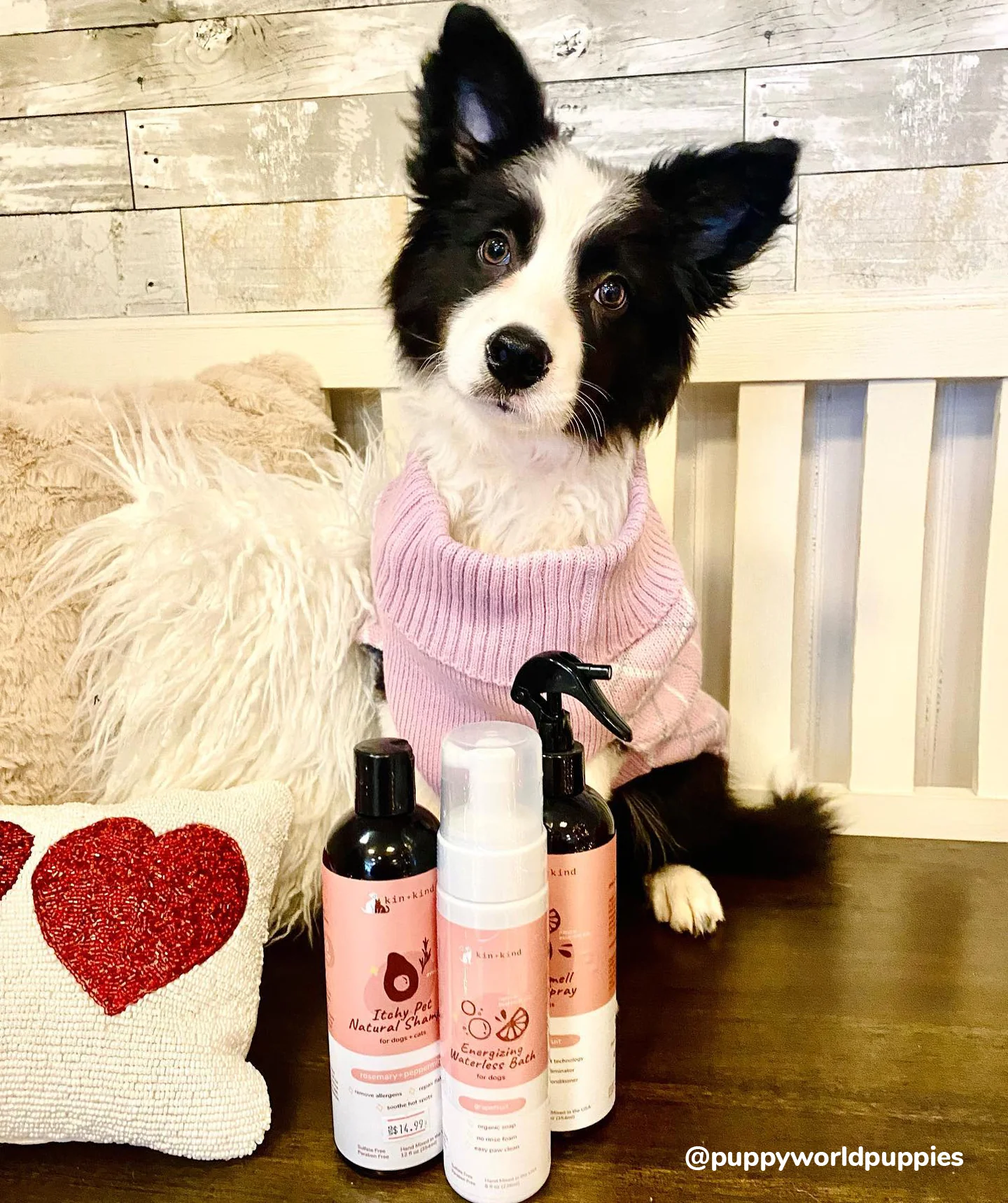Itchy Pet Shampoo - Image 6