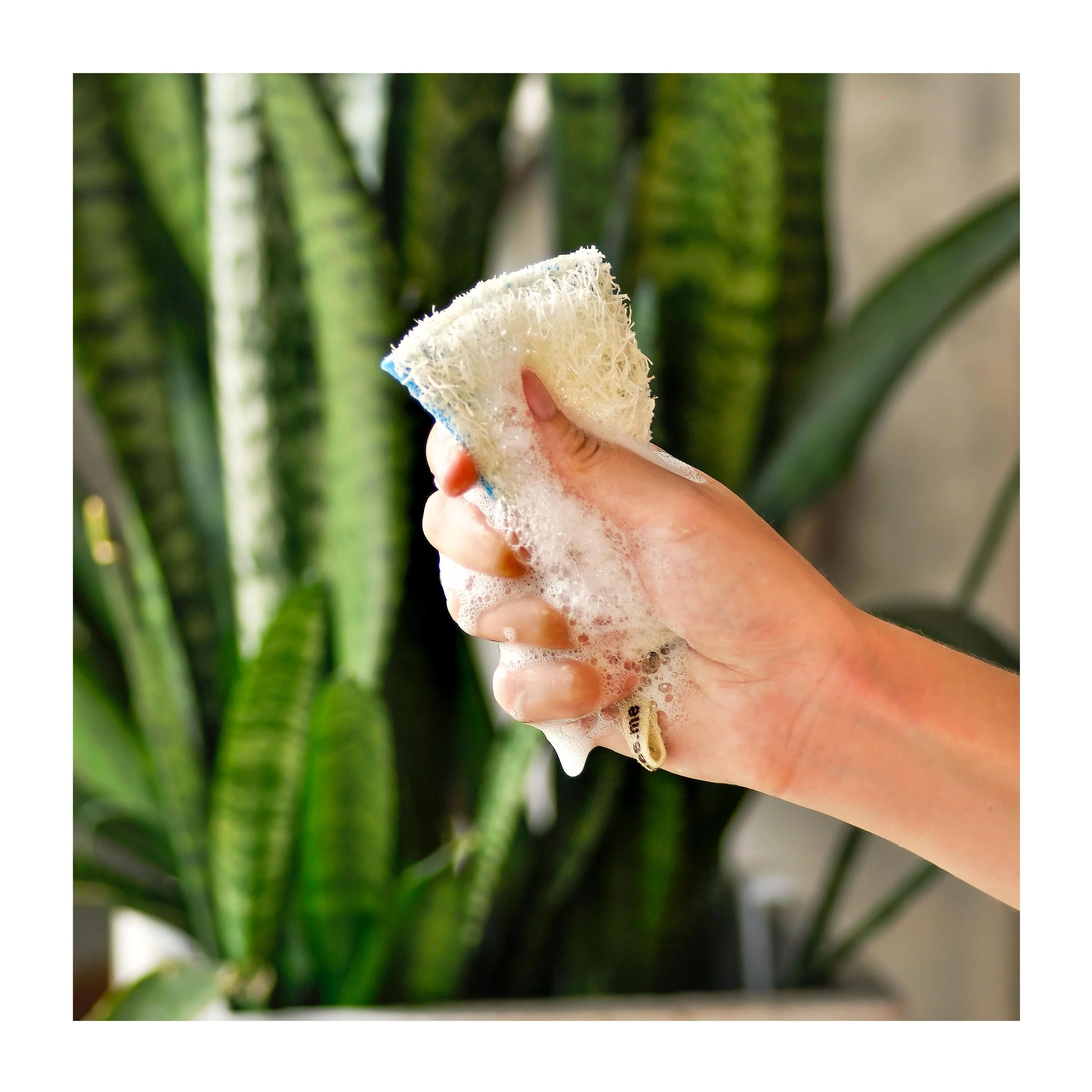 Kitchen Loofah Dish Sponge - Image 5