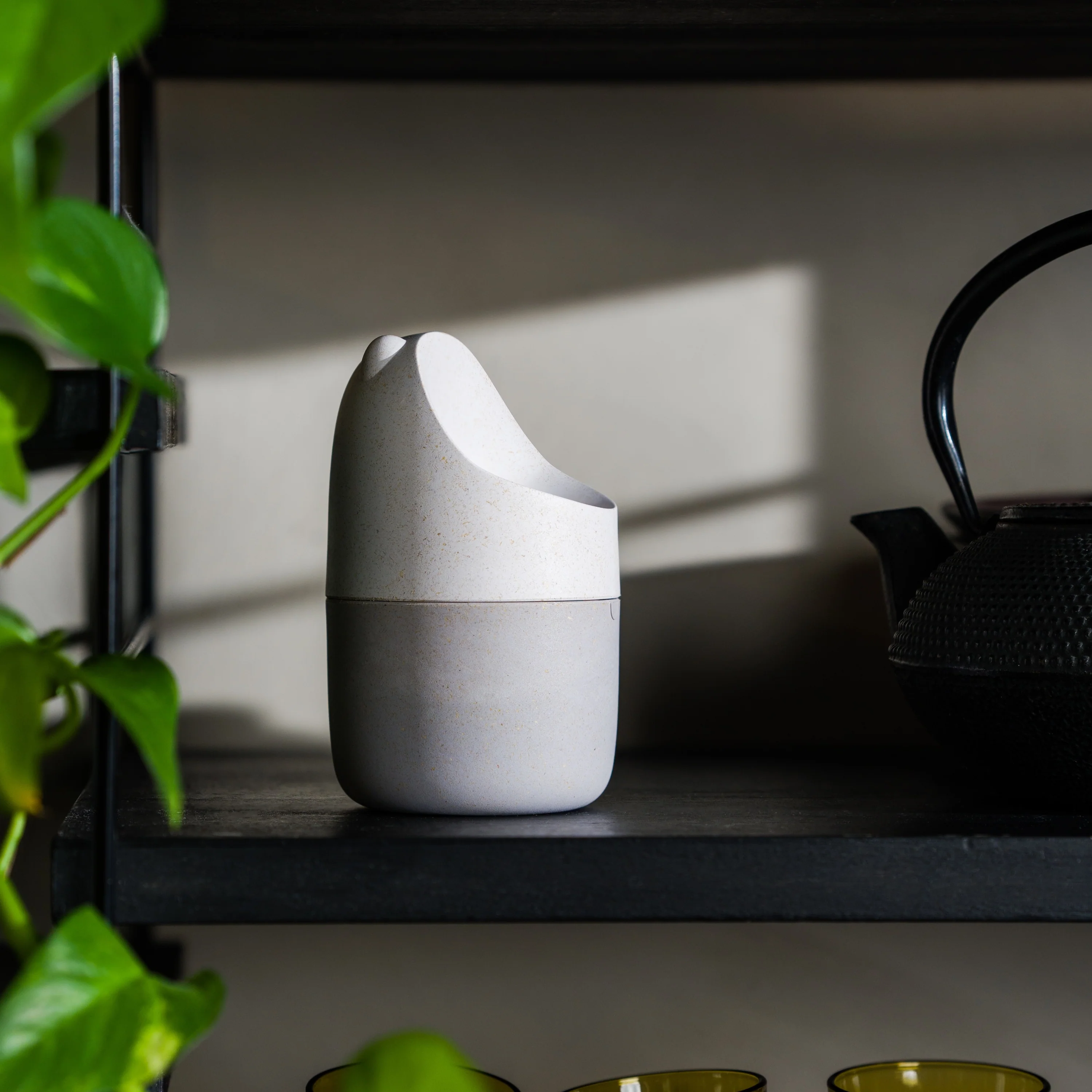 Konna Fly Trap - Image 6