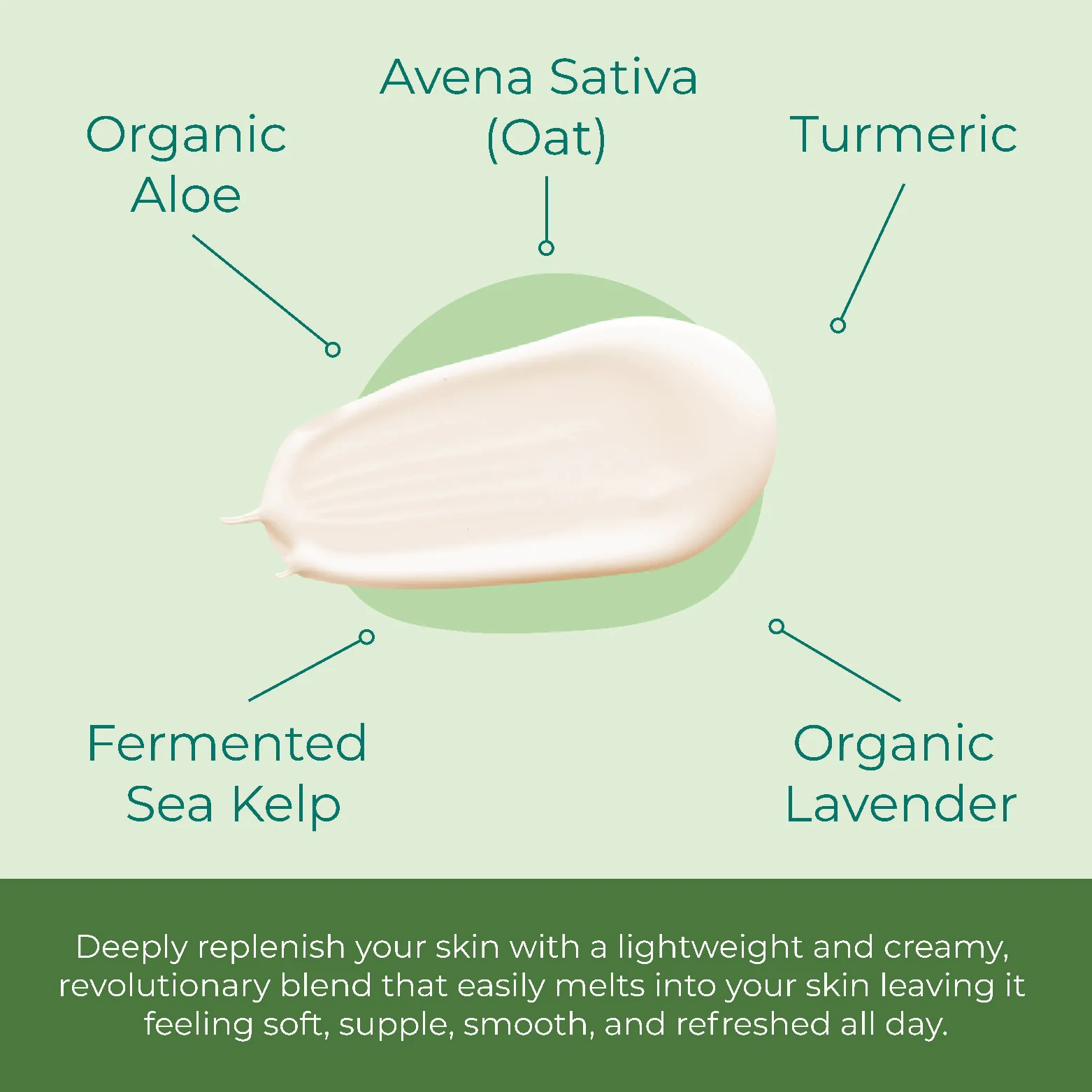 Lamina Kelp Day Cream - Image 2