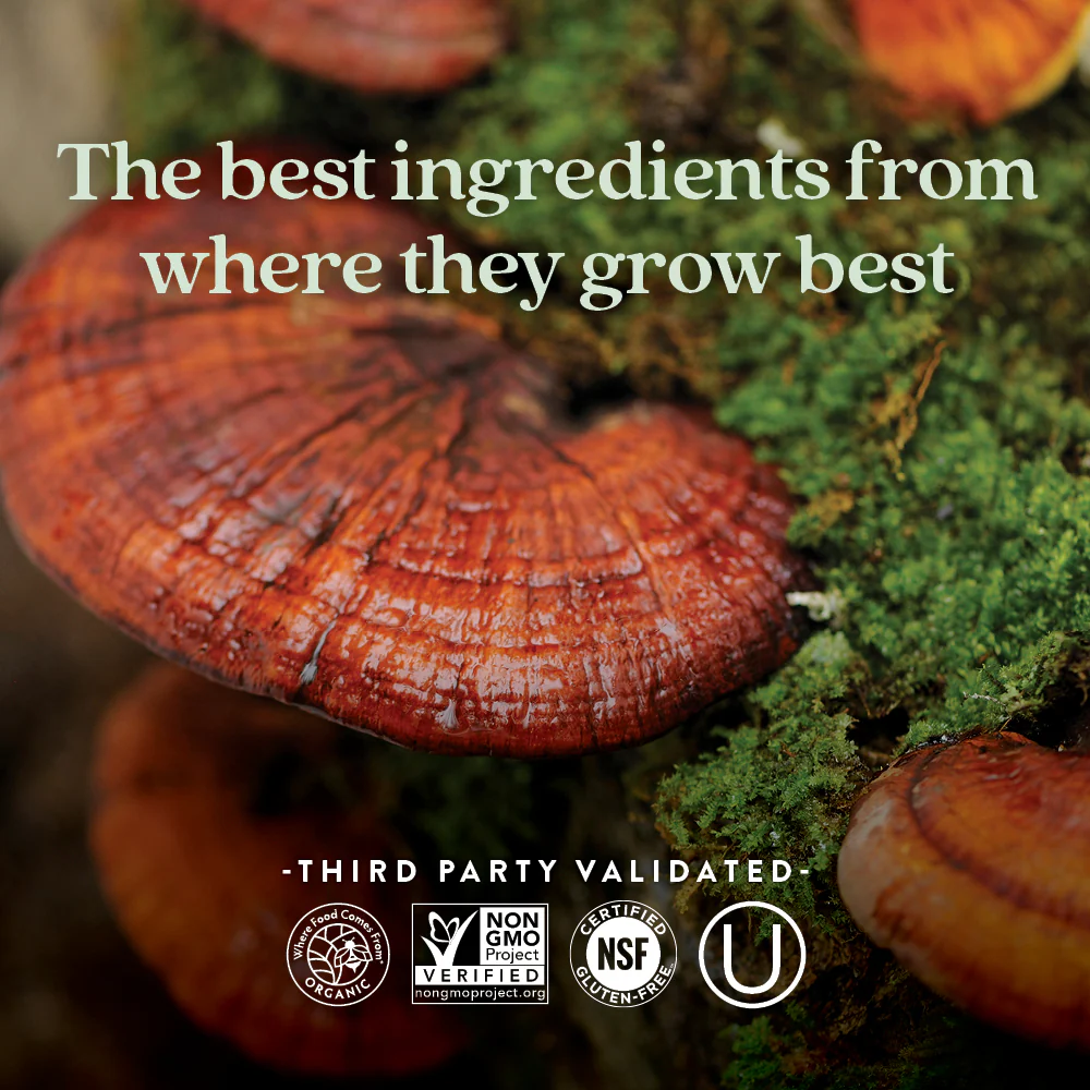 Healthy Aging, Reishi Mushroom - Image 10