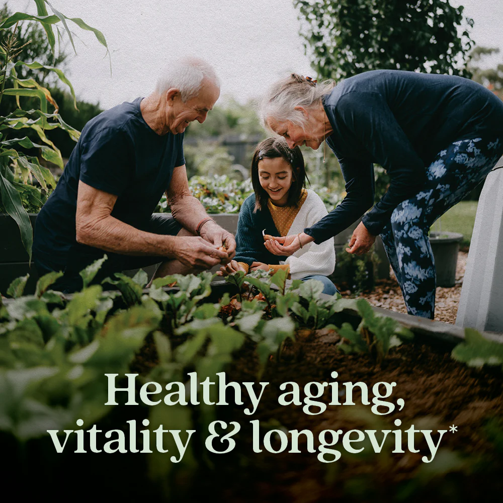 Healthy Aging, Reishi Mushroom - Image 9