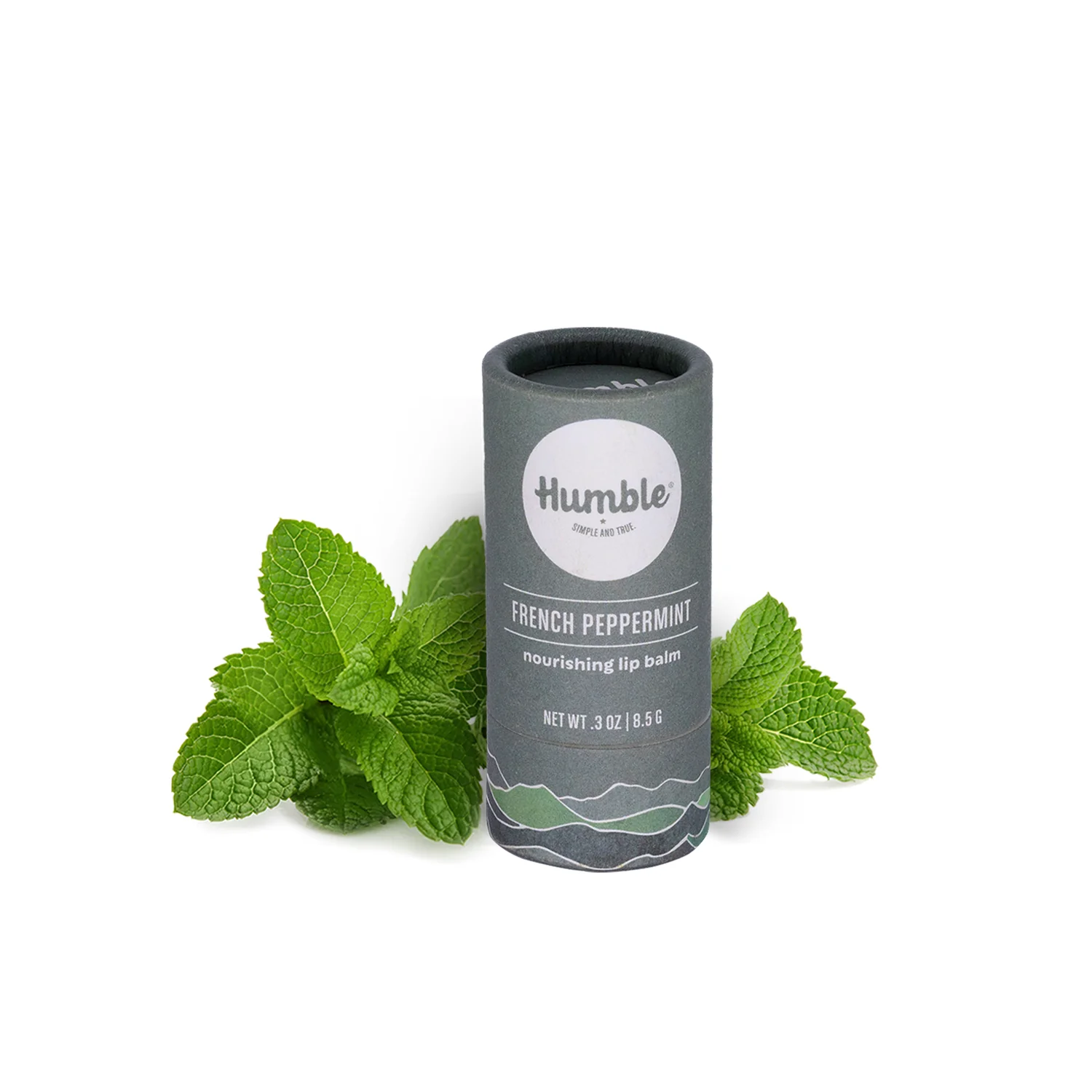 Lip Balm - Paperboard - Image 18